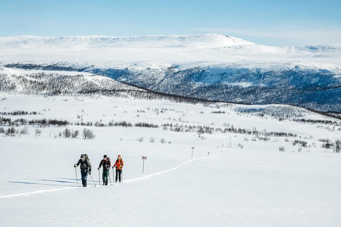 Tre personer på turskidor längs Kungsleden norr om Ammarnäs. I bakgrunden syns fjäll.