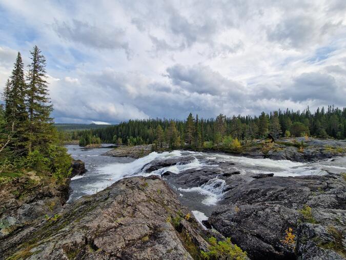 Strömmande vatten i Kultsjöåns naturreservat.