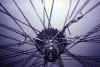 spokes.JPG (27824 byte)