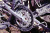 sprocketchange.JPG (90148 byte)