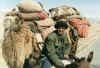 nomad.JPG (36005 bytes)