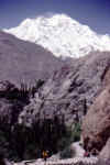 stephandiran.JPG (38075 bytes)