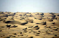 desertdunes.jpg (42655 byte)