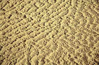 desertpattern.jpg (85905 byte)