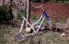 tianshanbike.jpg (54149 byte)