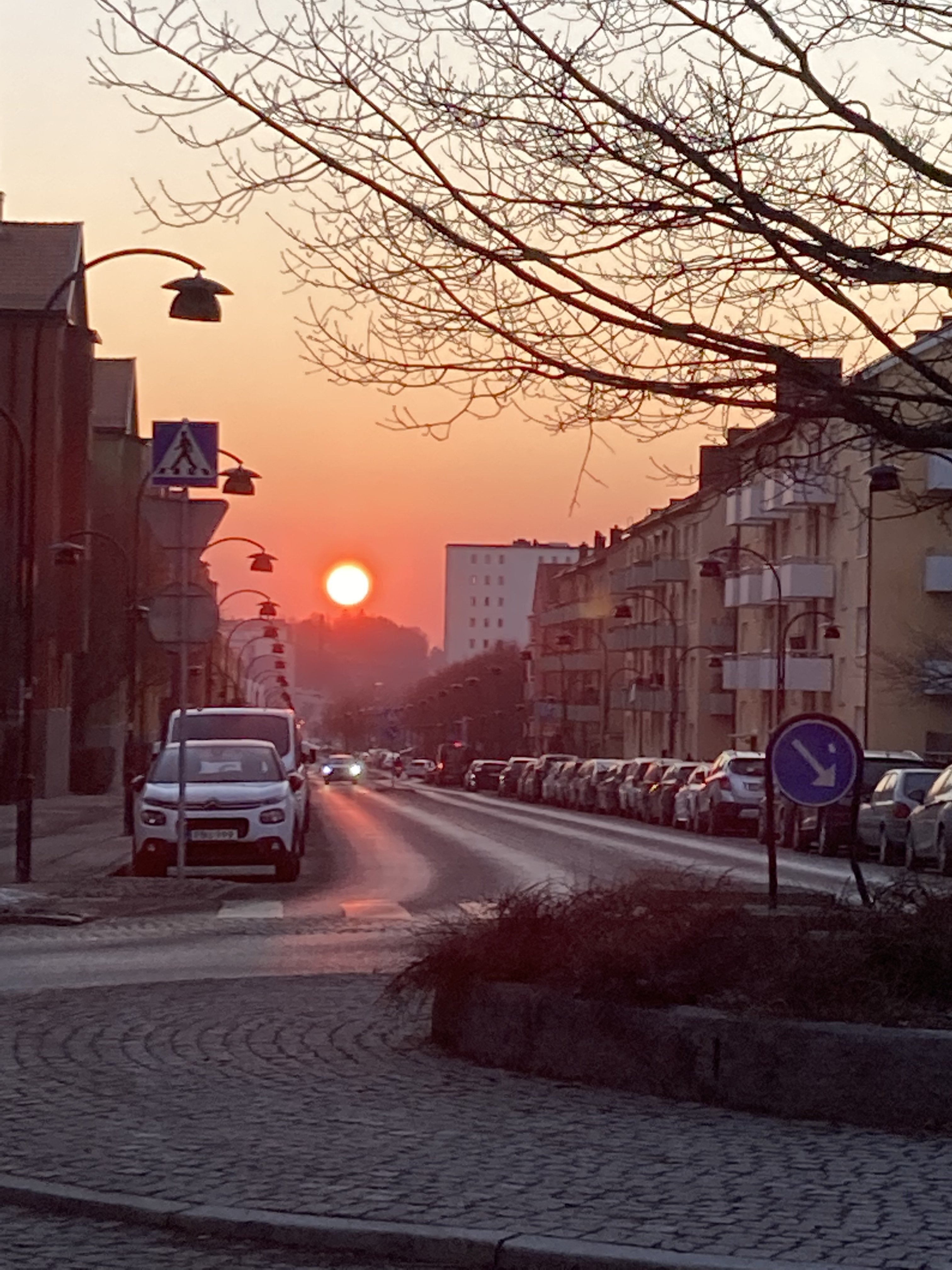 053435F6-A985-405E-9CAA-34281EBE8065.jpeg