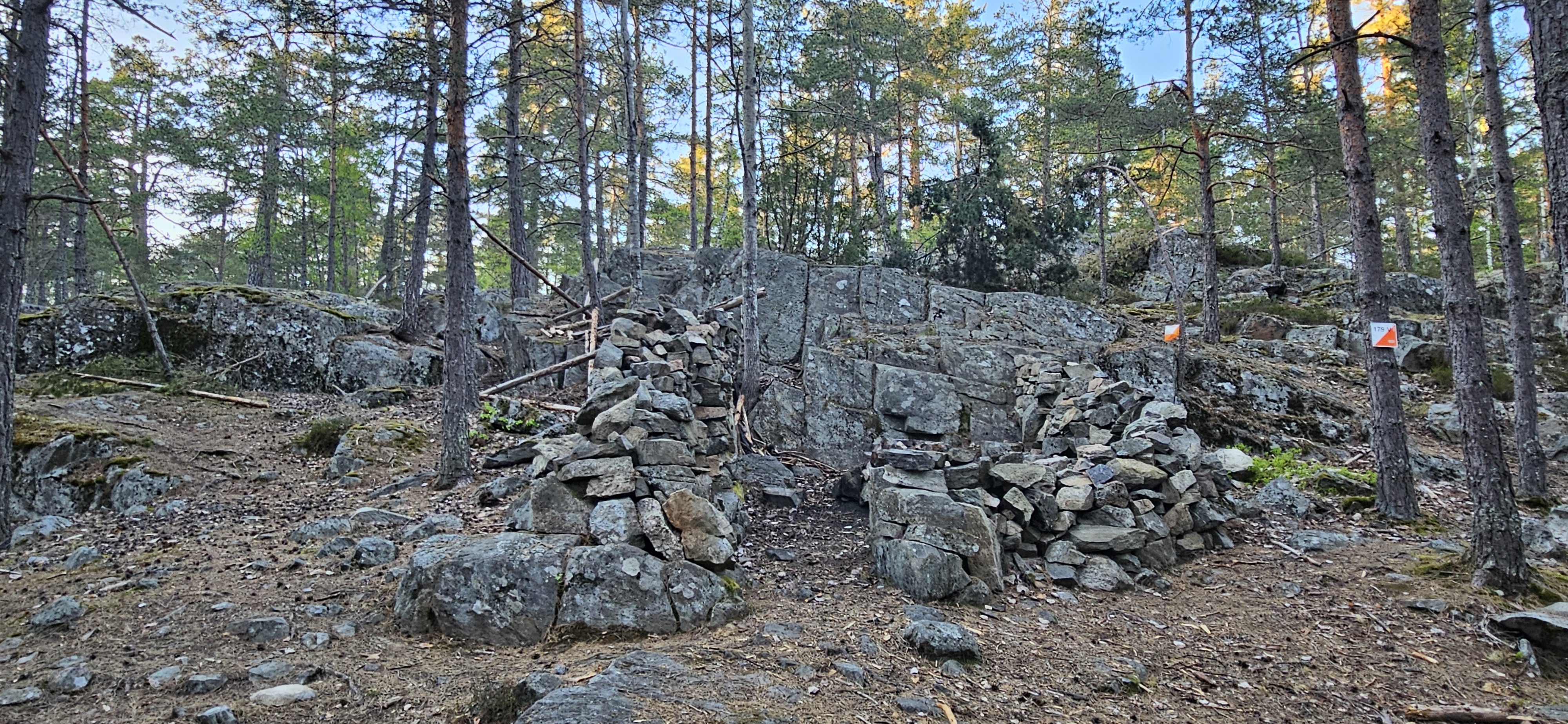1000054302.jpg