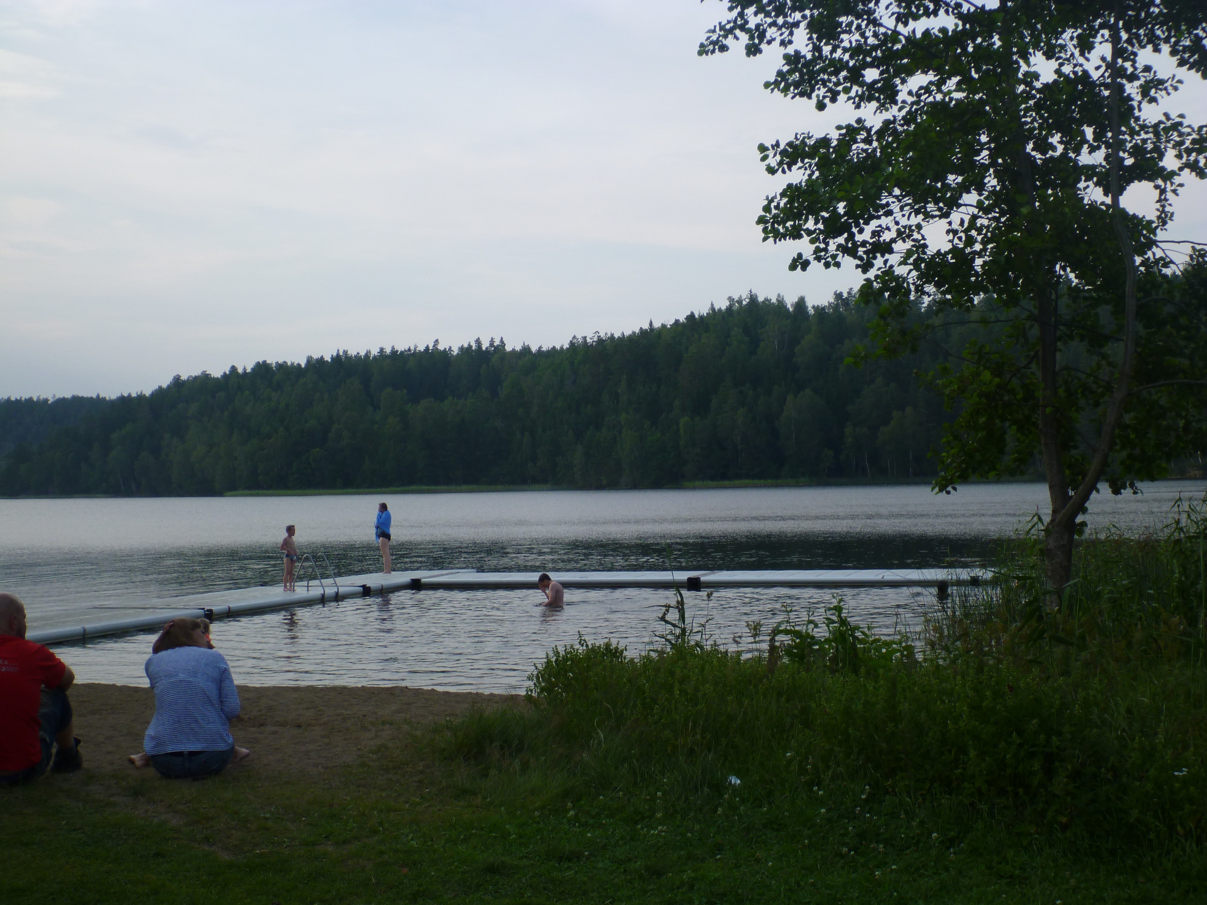 2012 1529.jpg