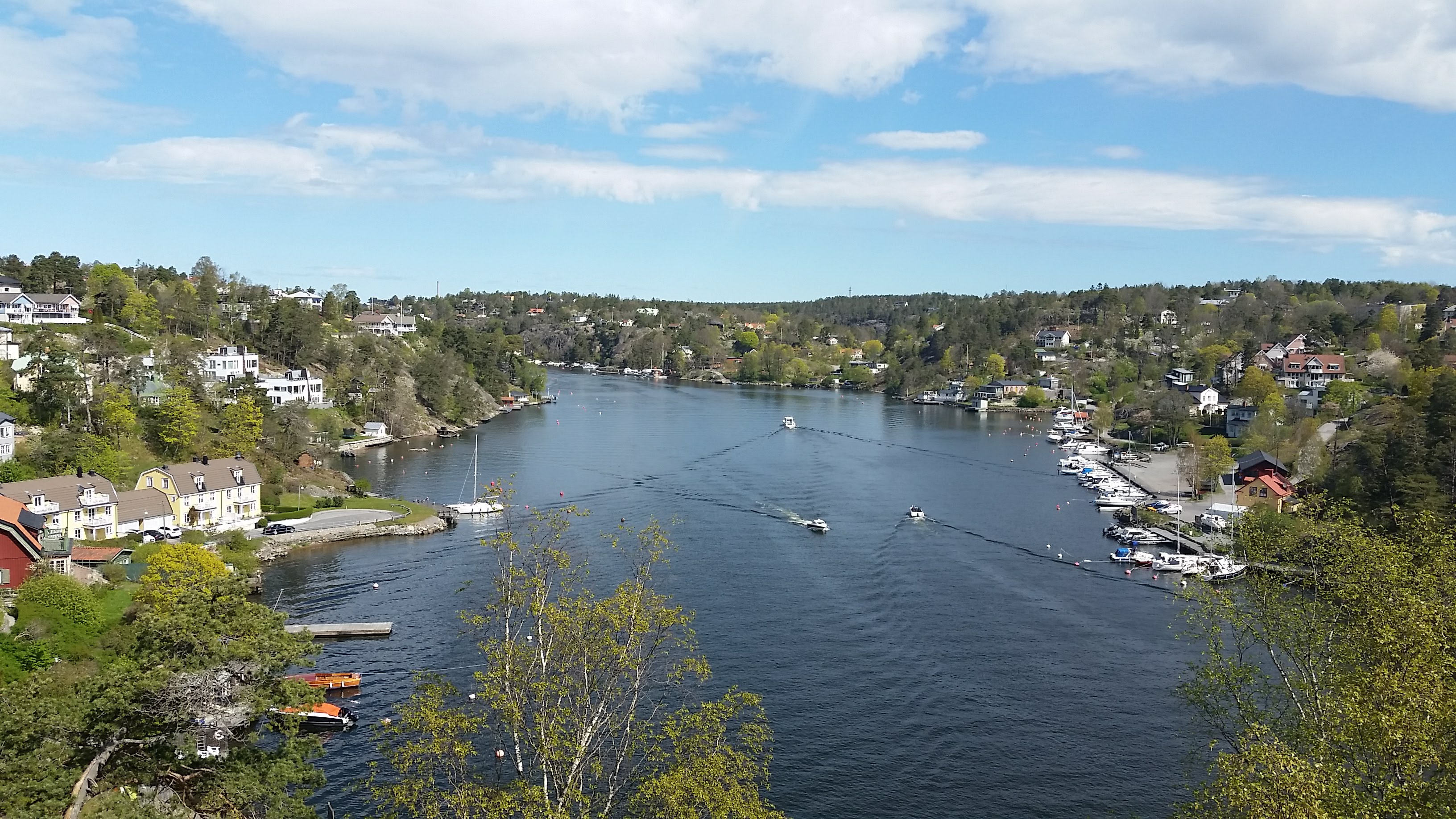 20200509_110850.jpg