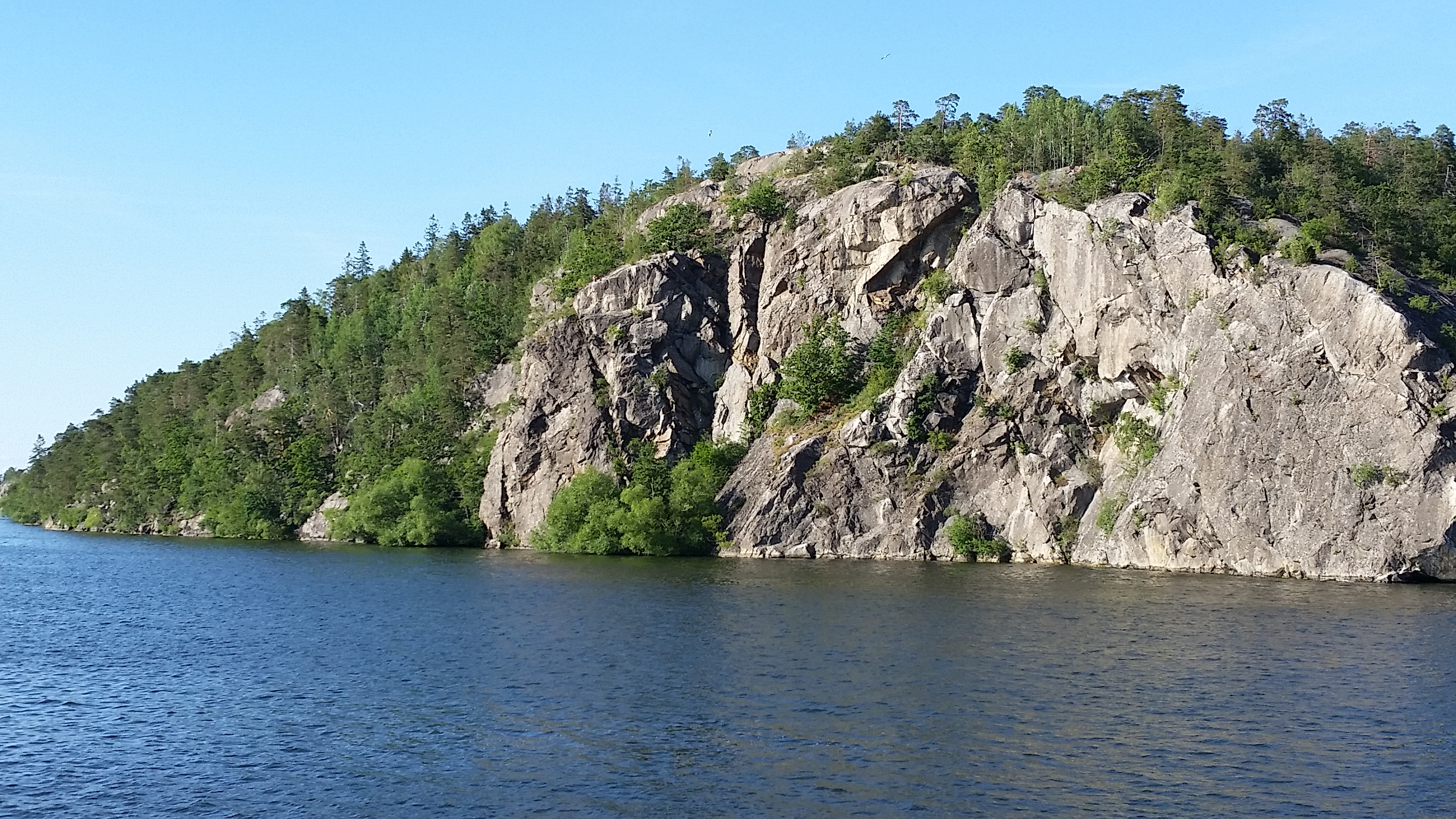 20200629_183257.jpg