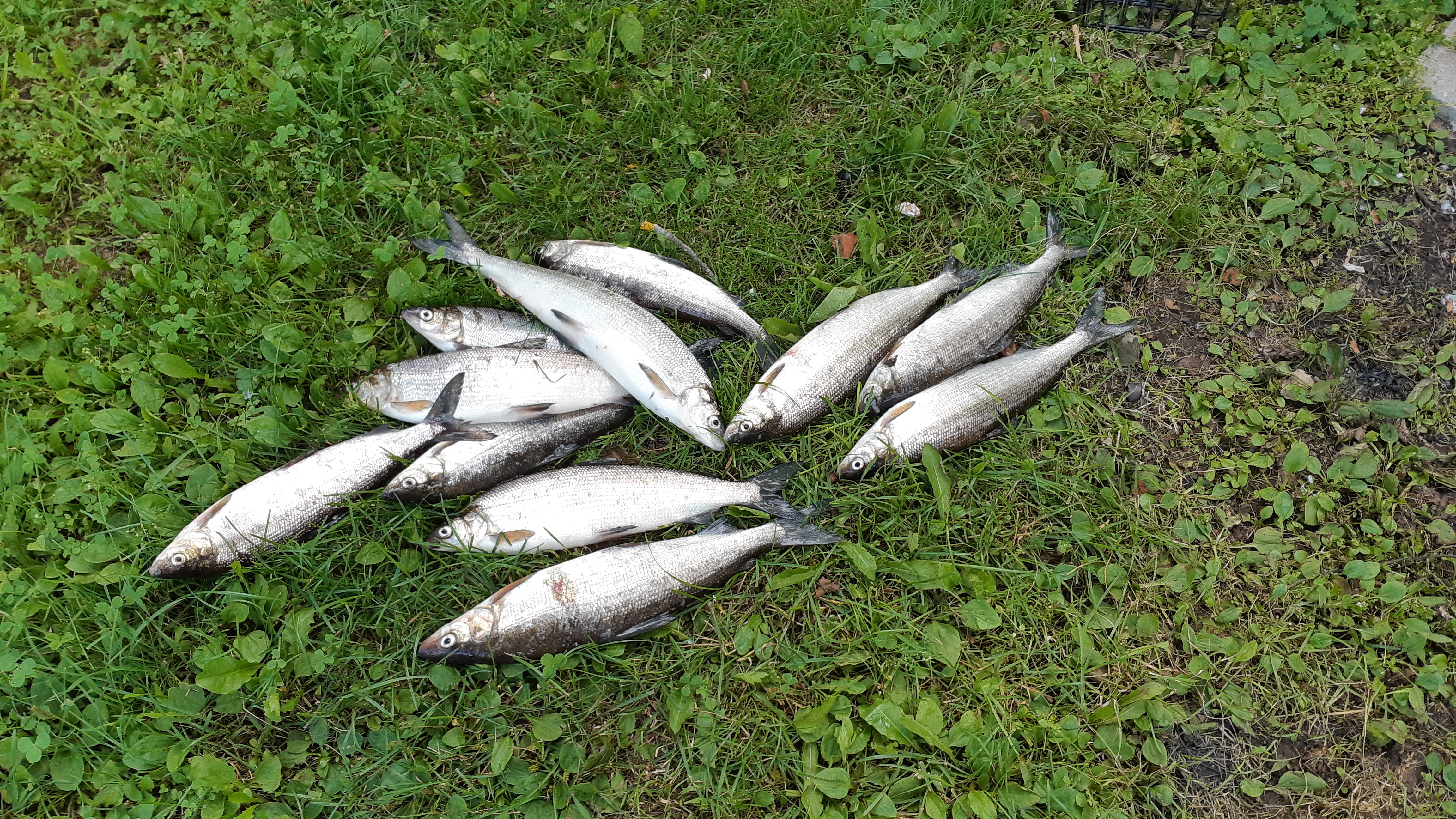 20200804_165320.jpg