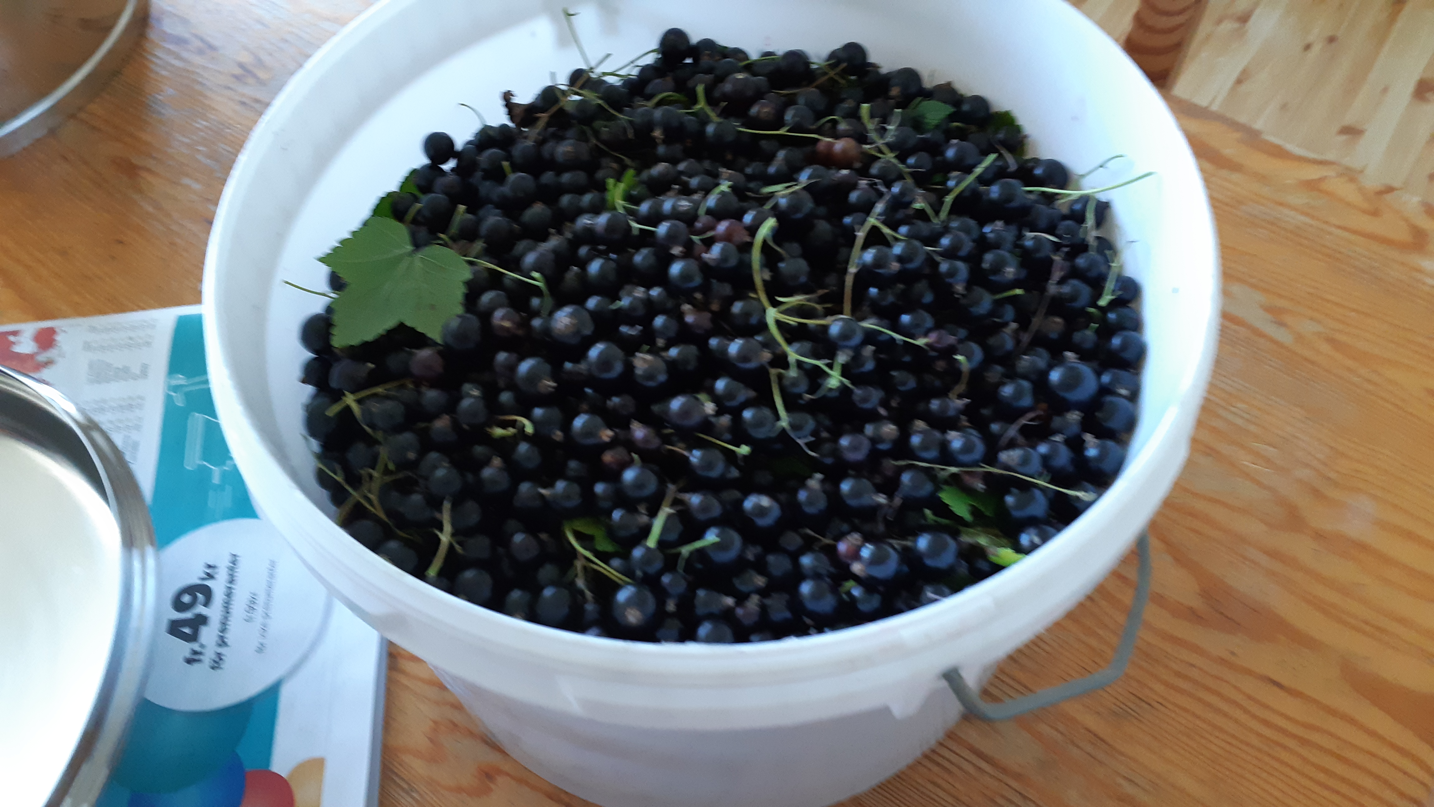 20200818_093038.jpg