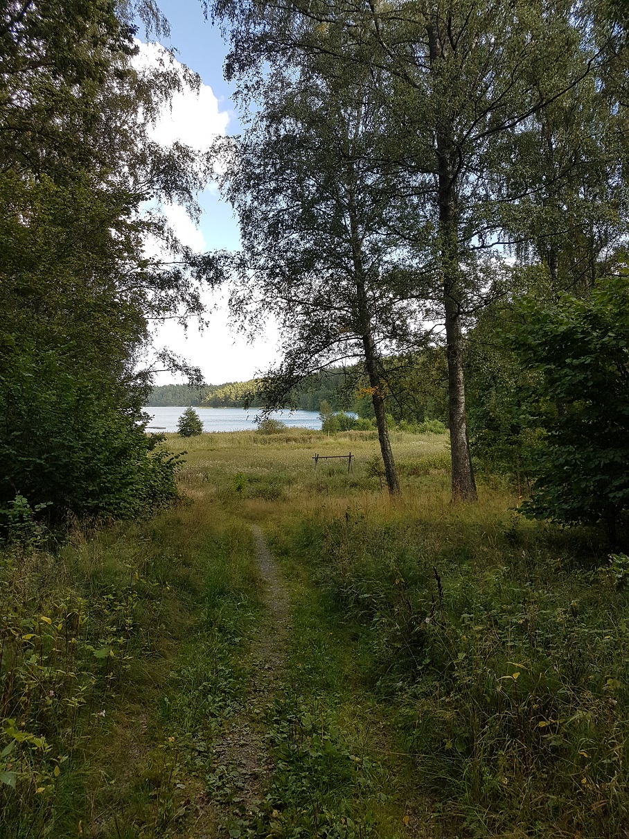 20200905_131812.jpg