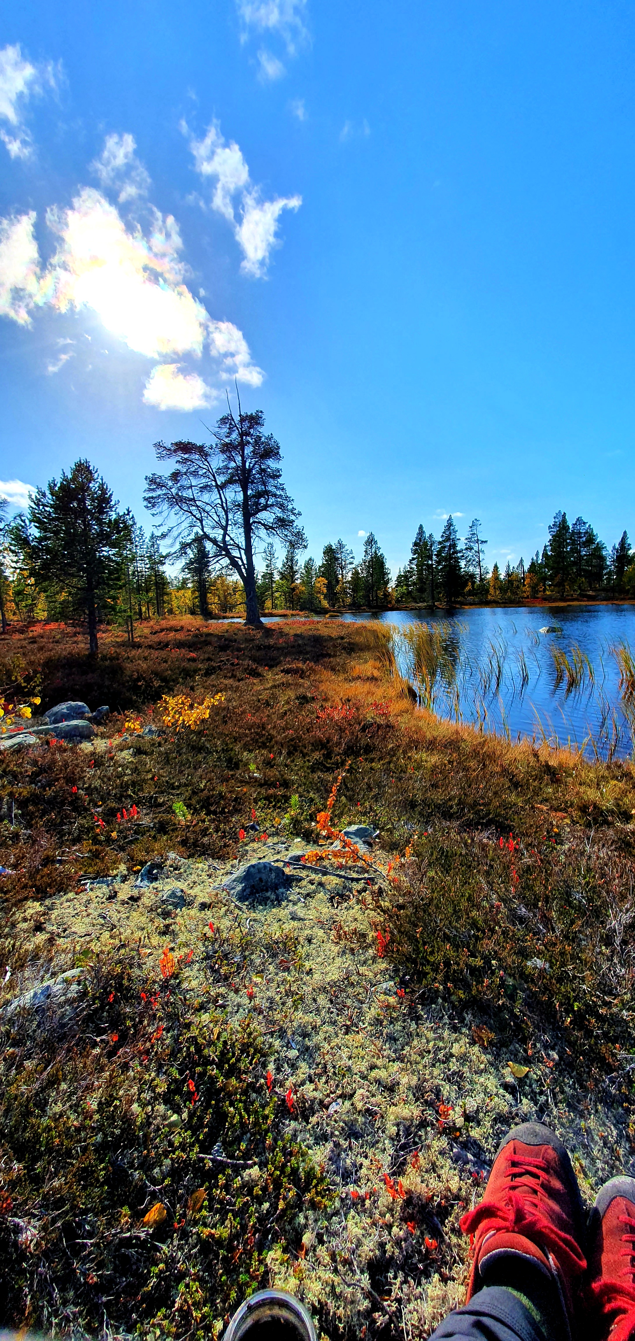 20200919_144915.jpg