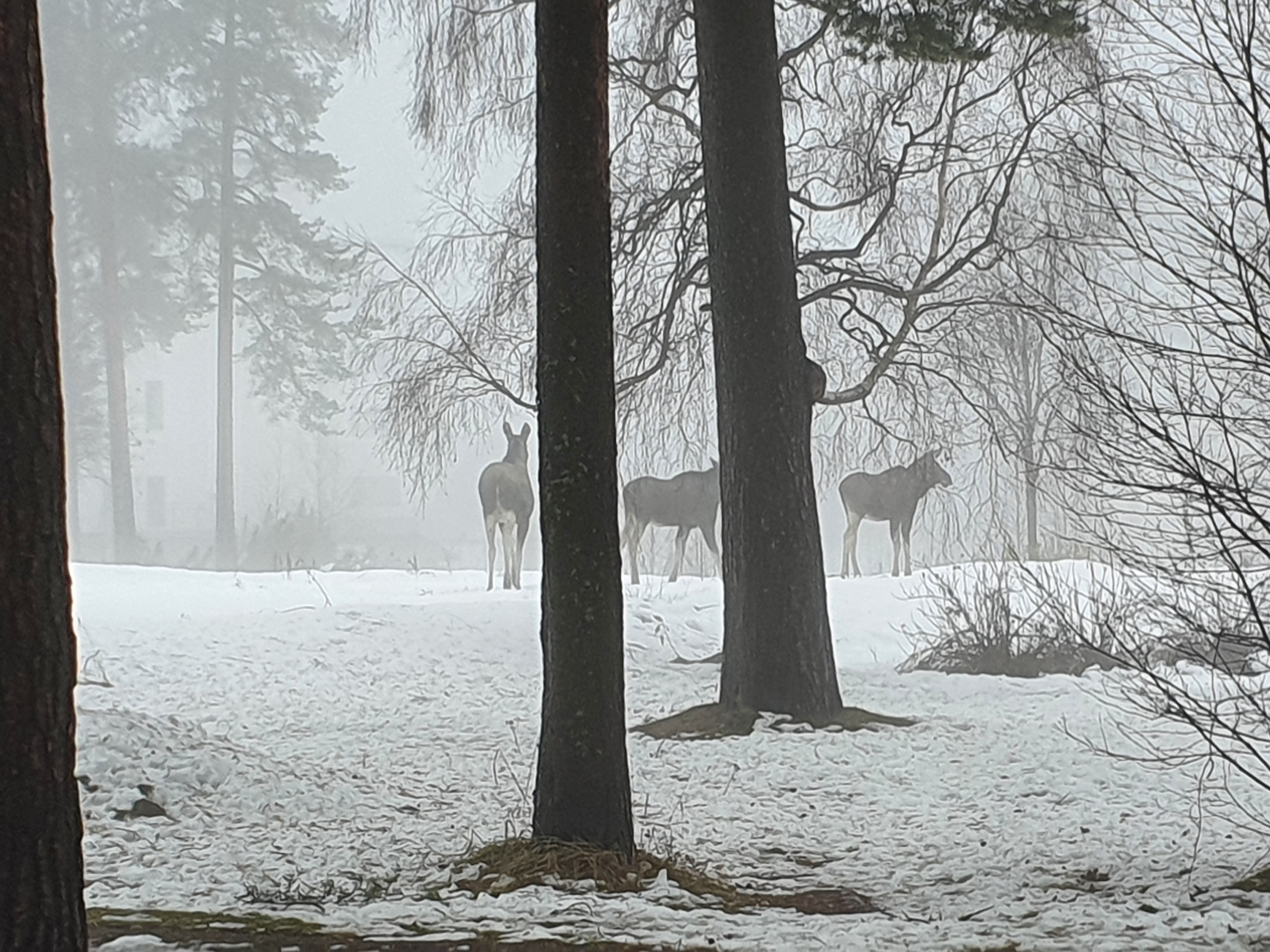 20201026_115349[1].jpg