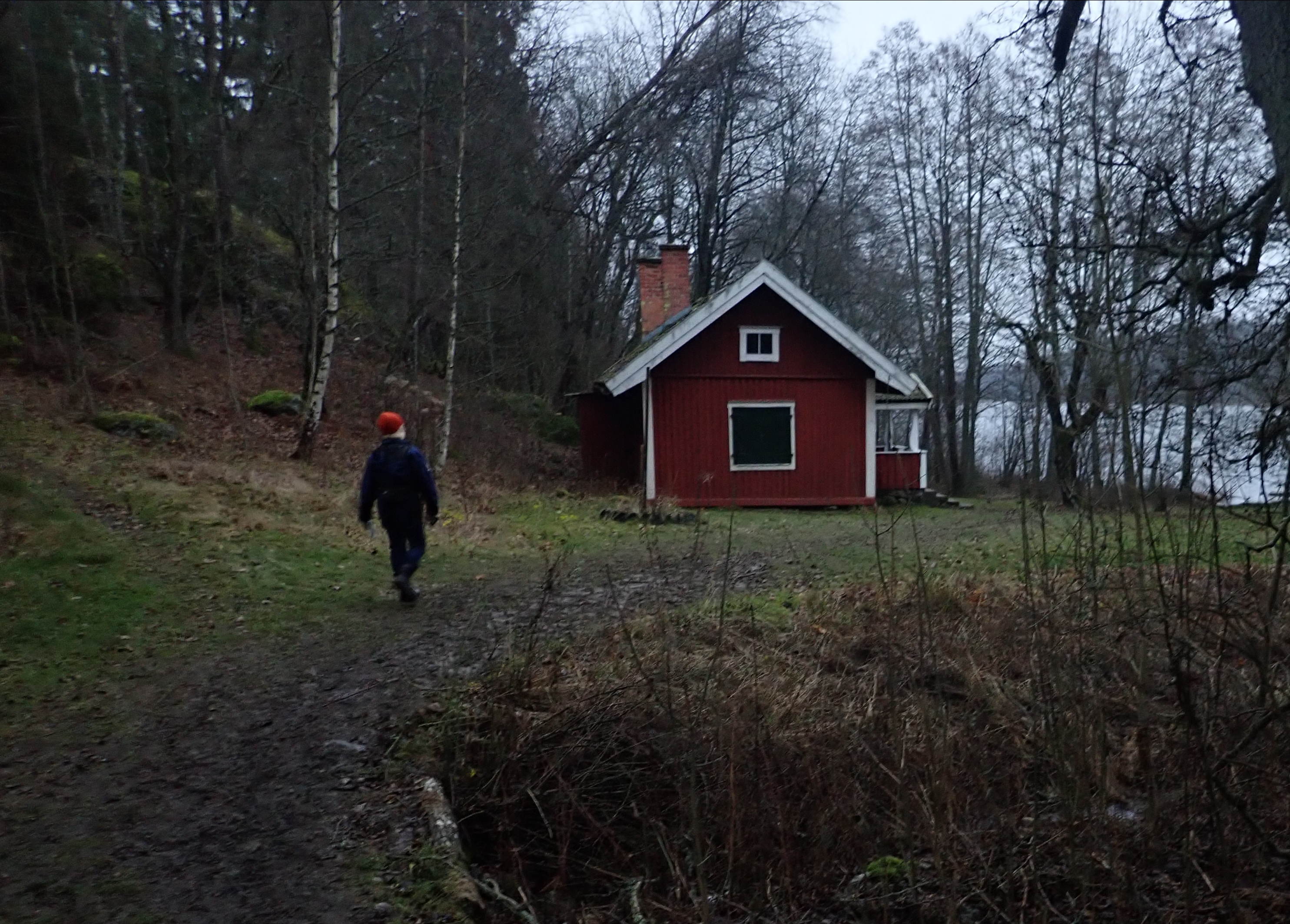 20201218_220800.jpg