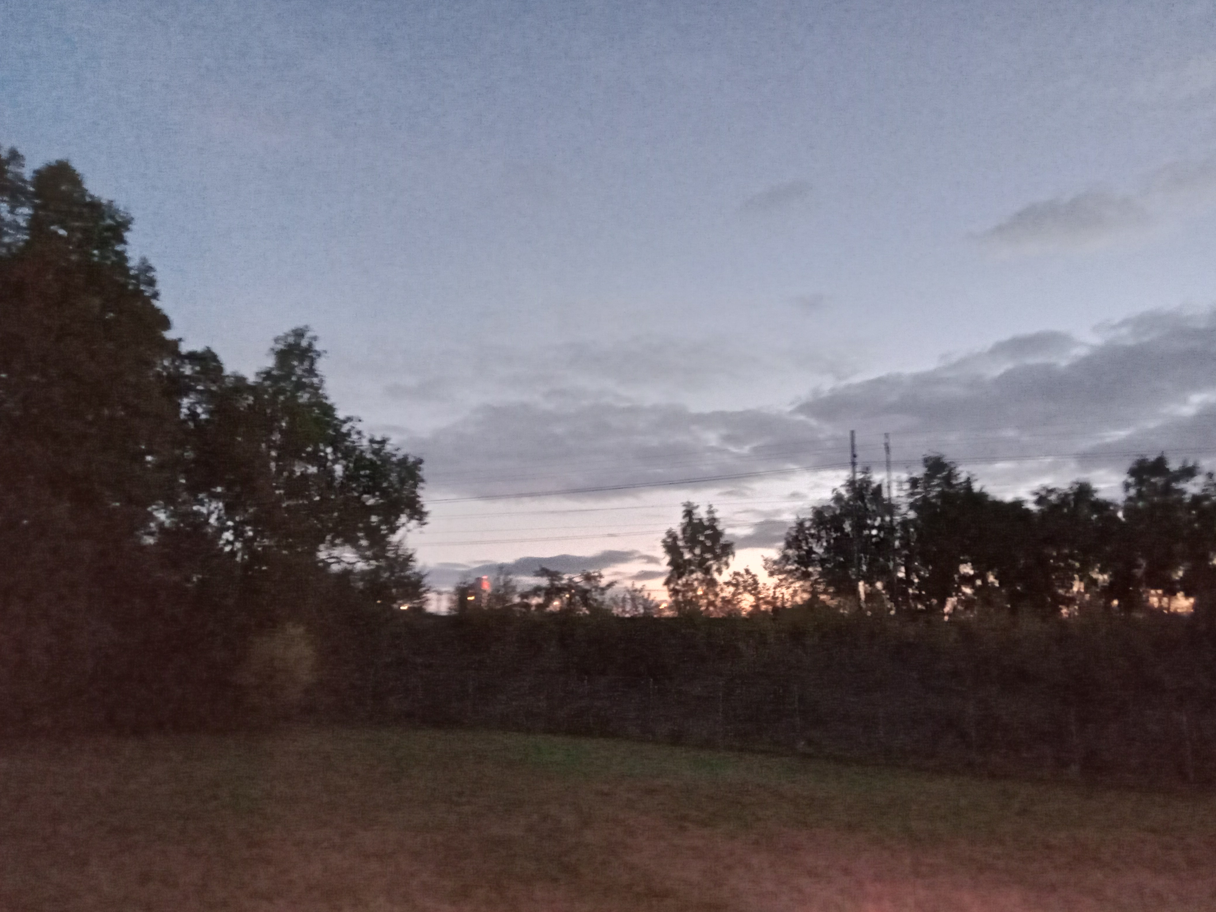 20220923_055910648.jpg