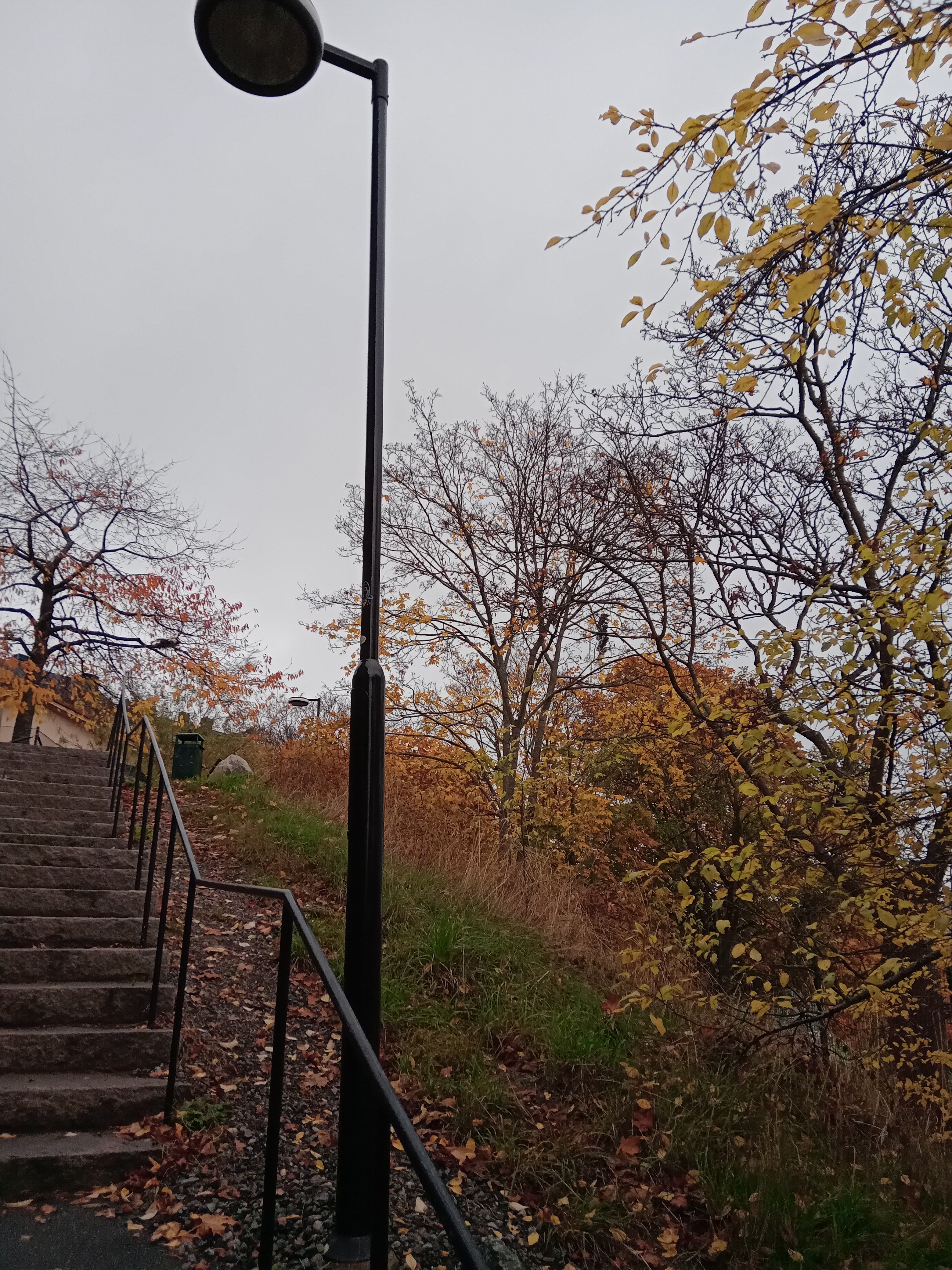 20221028_162933492.jpg