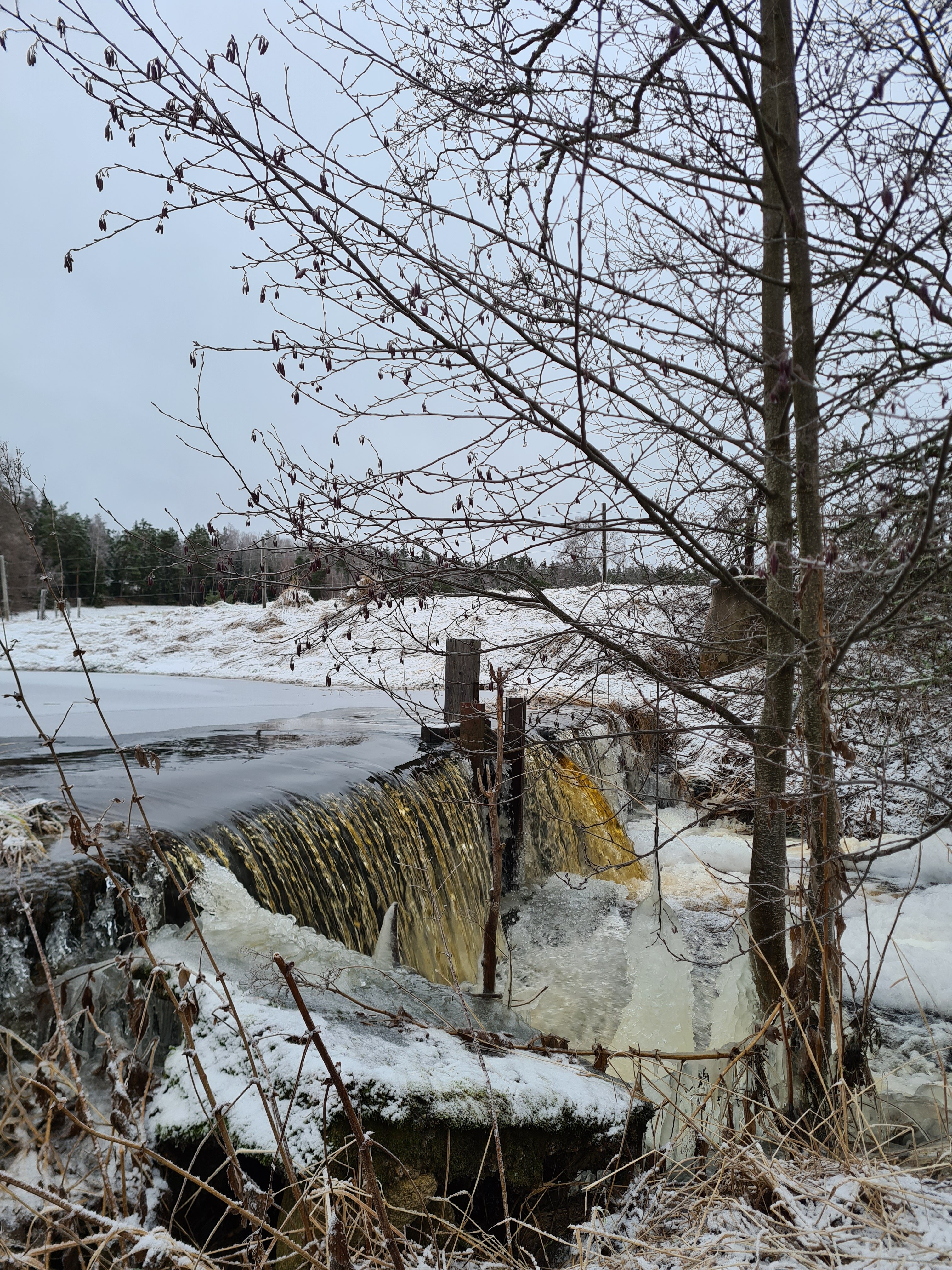 20230104_115434.jpg