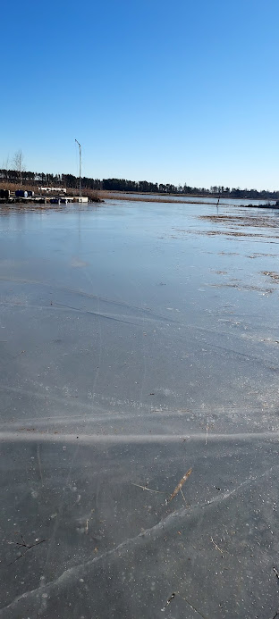 20230218_103909.jpg