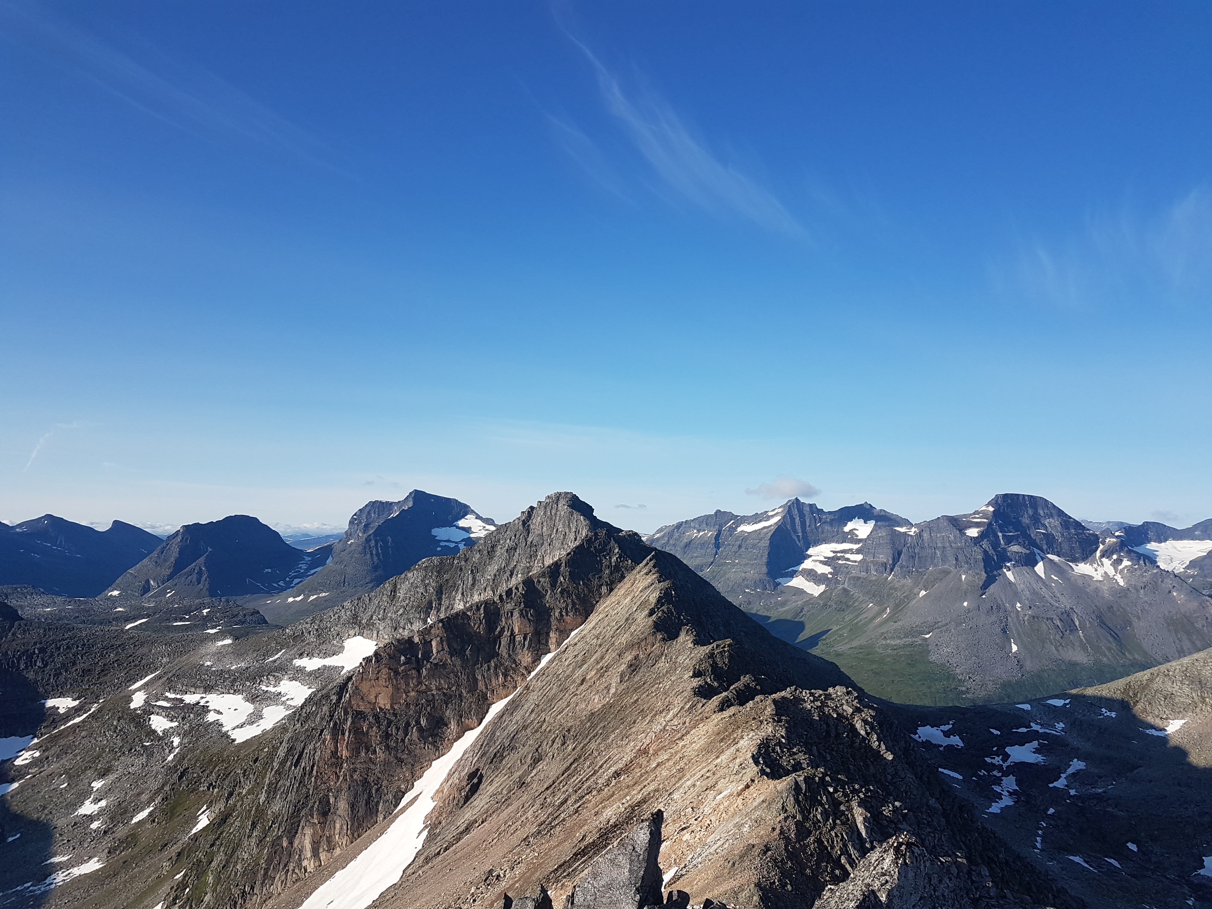 20230715_072319.jpg
