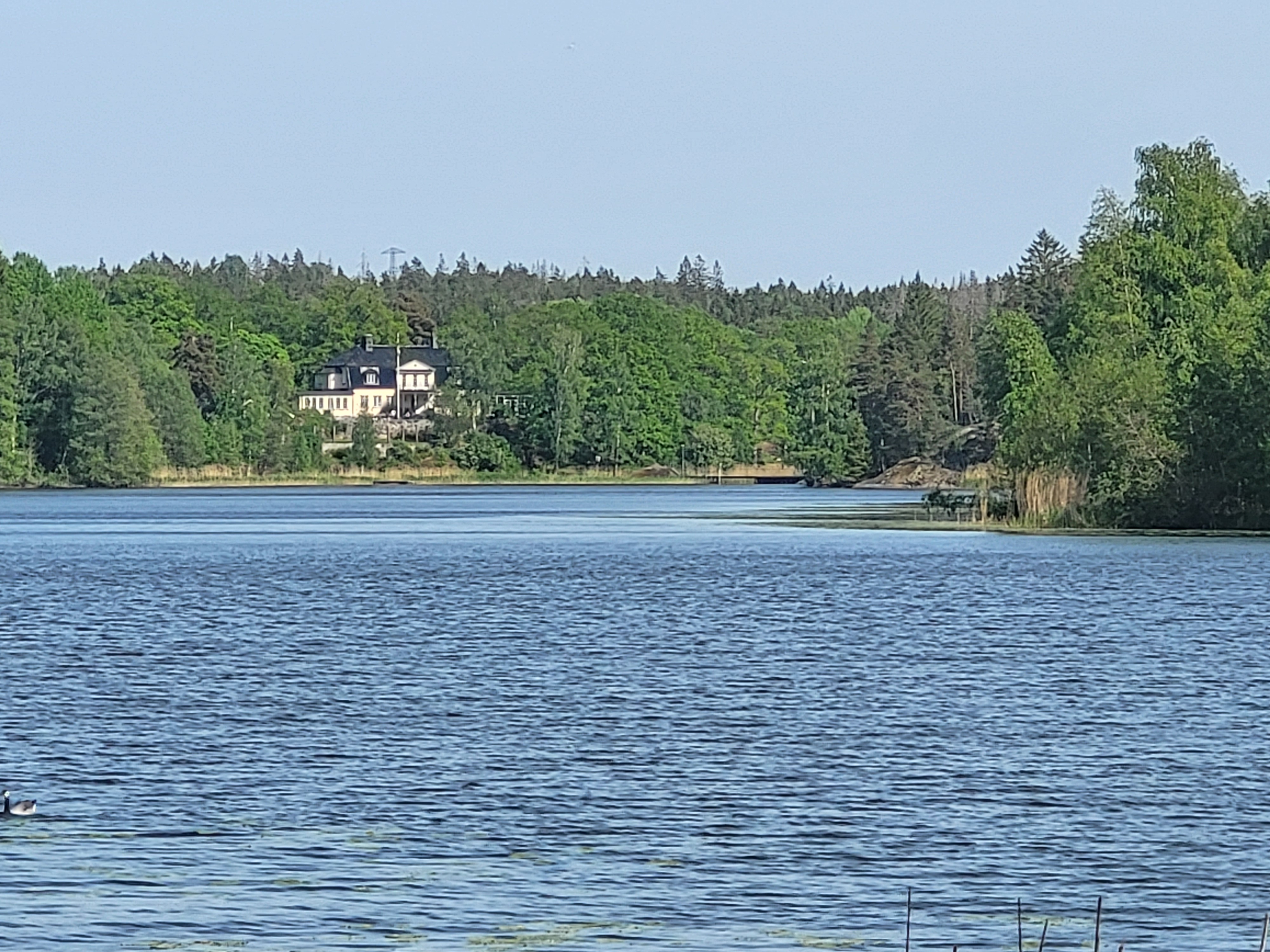 20240524_161343.jpg