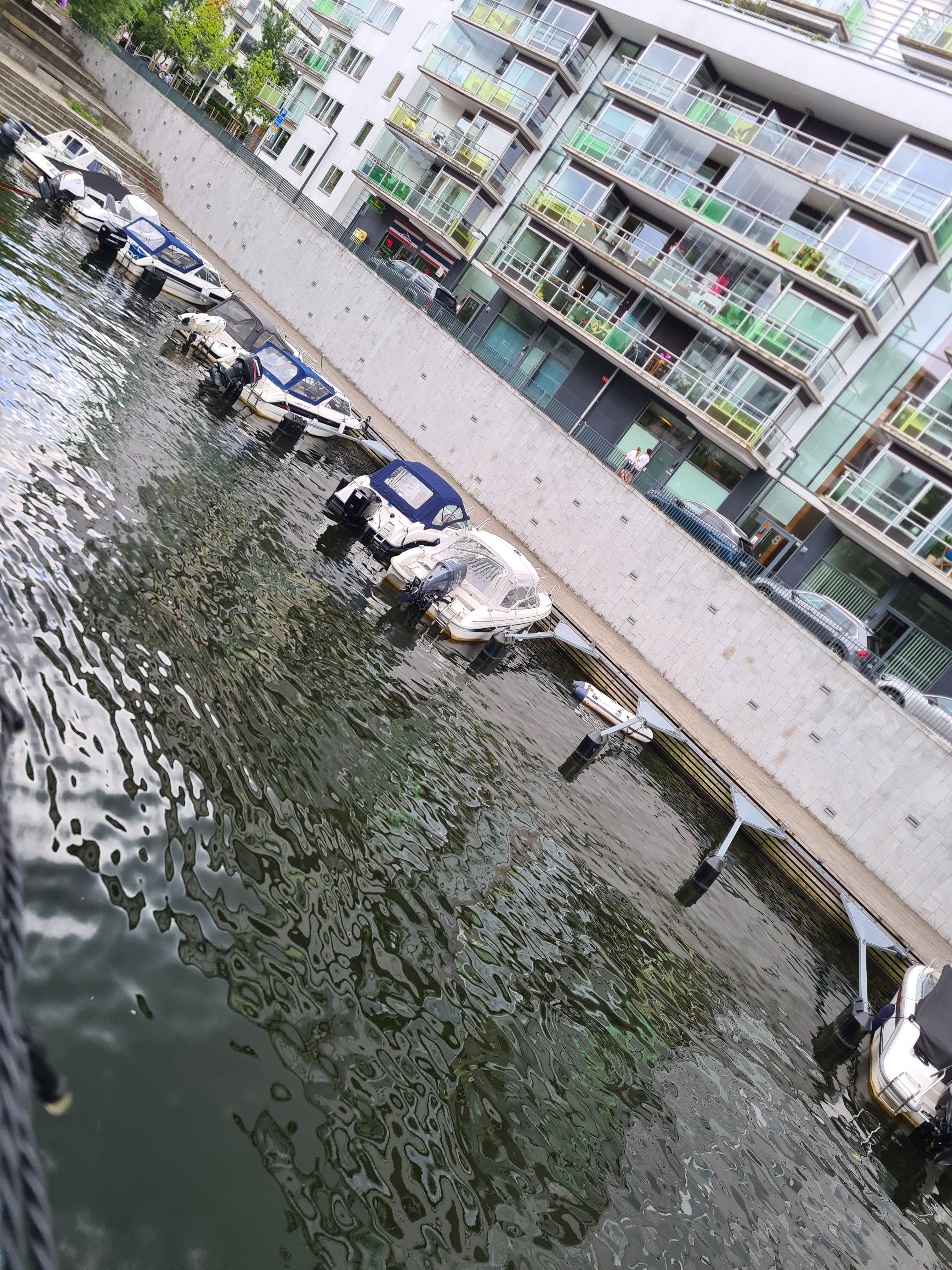 20240805_164304.jpg