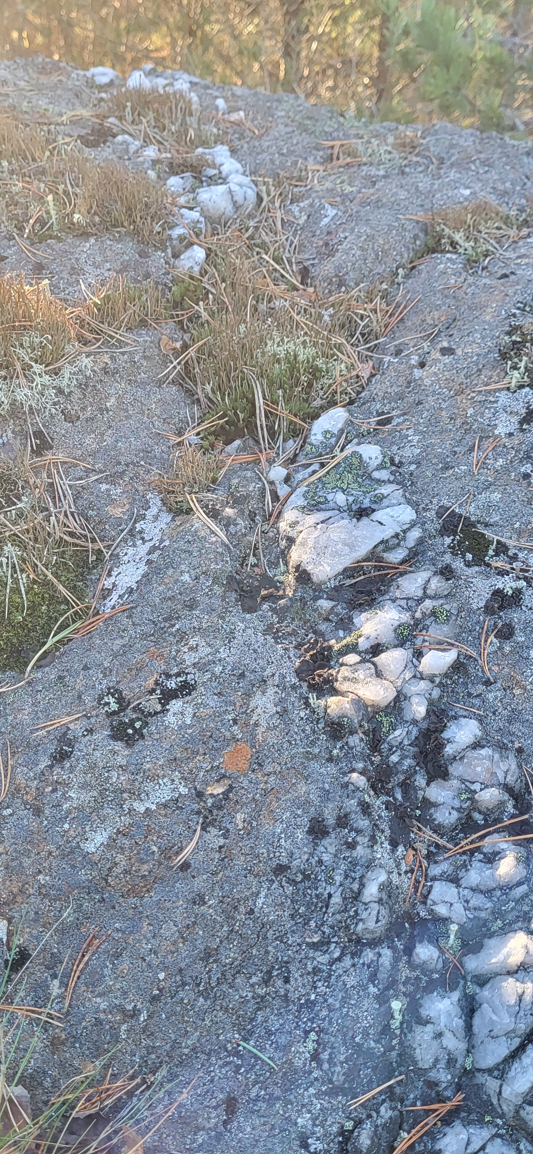 20241102_124821.jpg