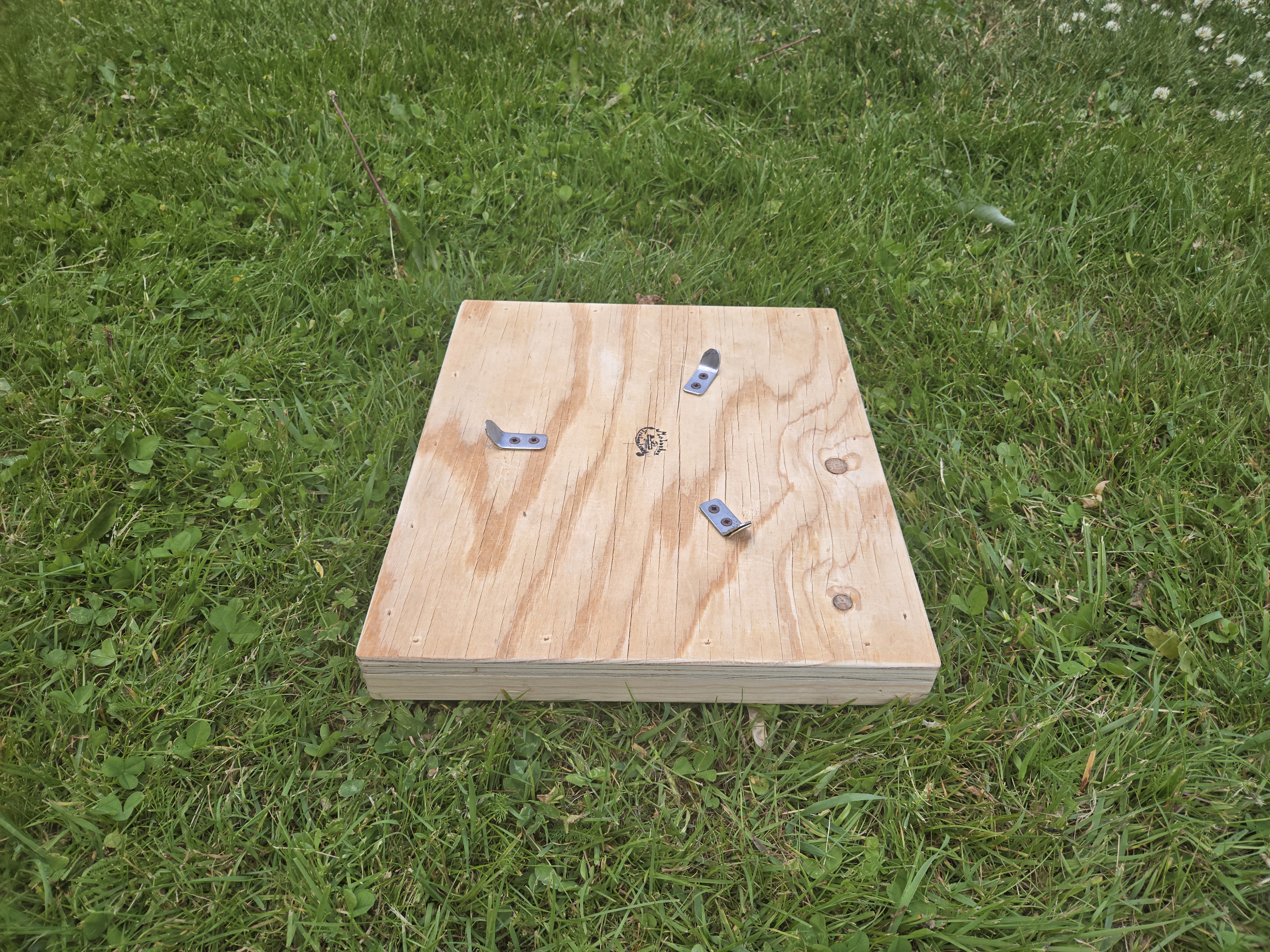 20250620_142615.jpg