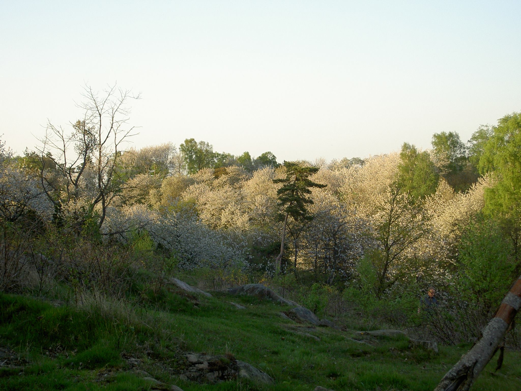 21-115.jpg