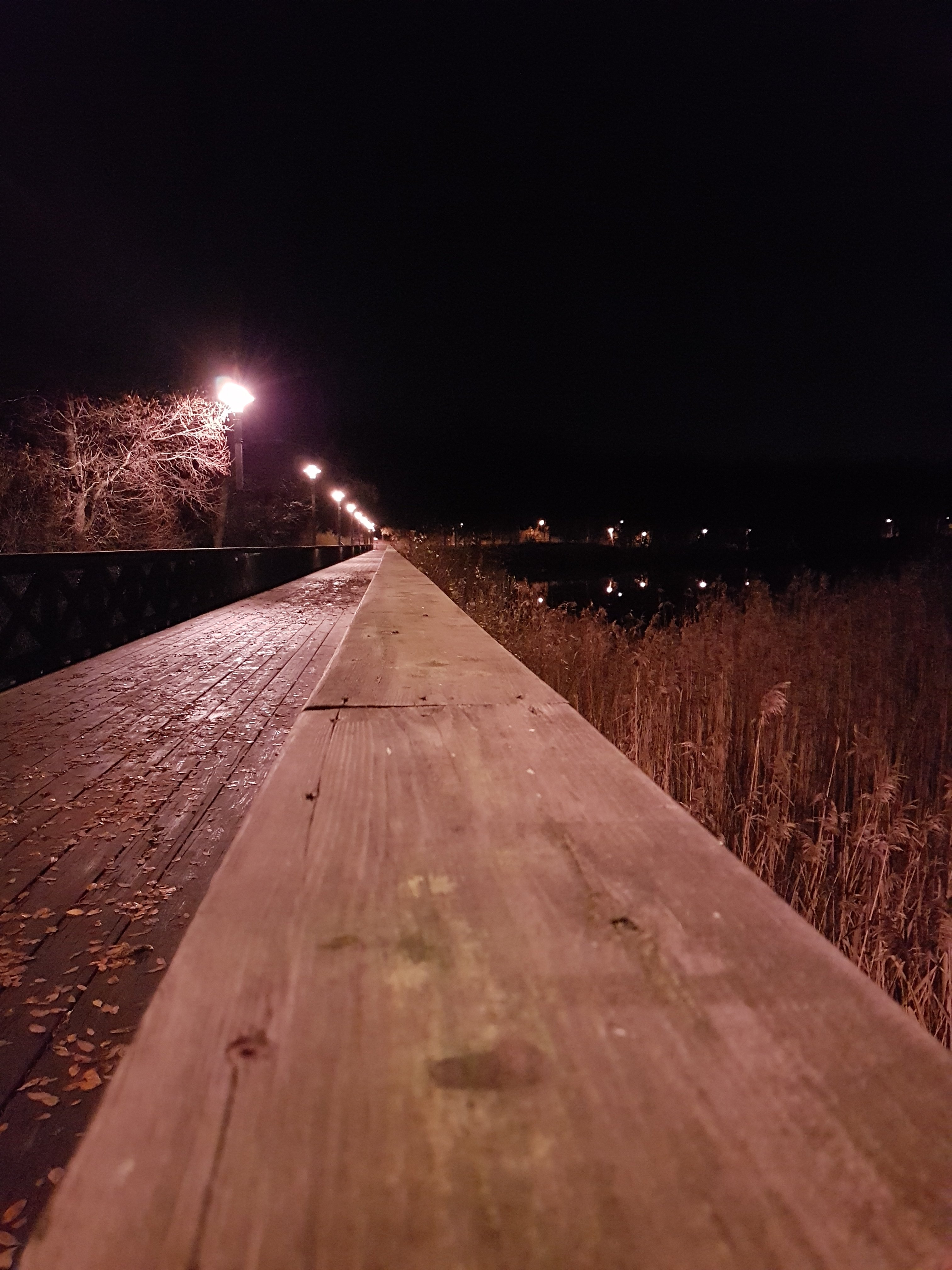 876.jpg