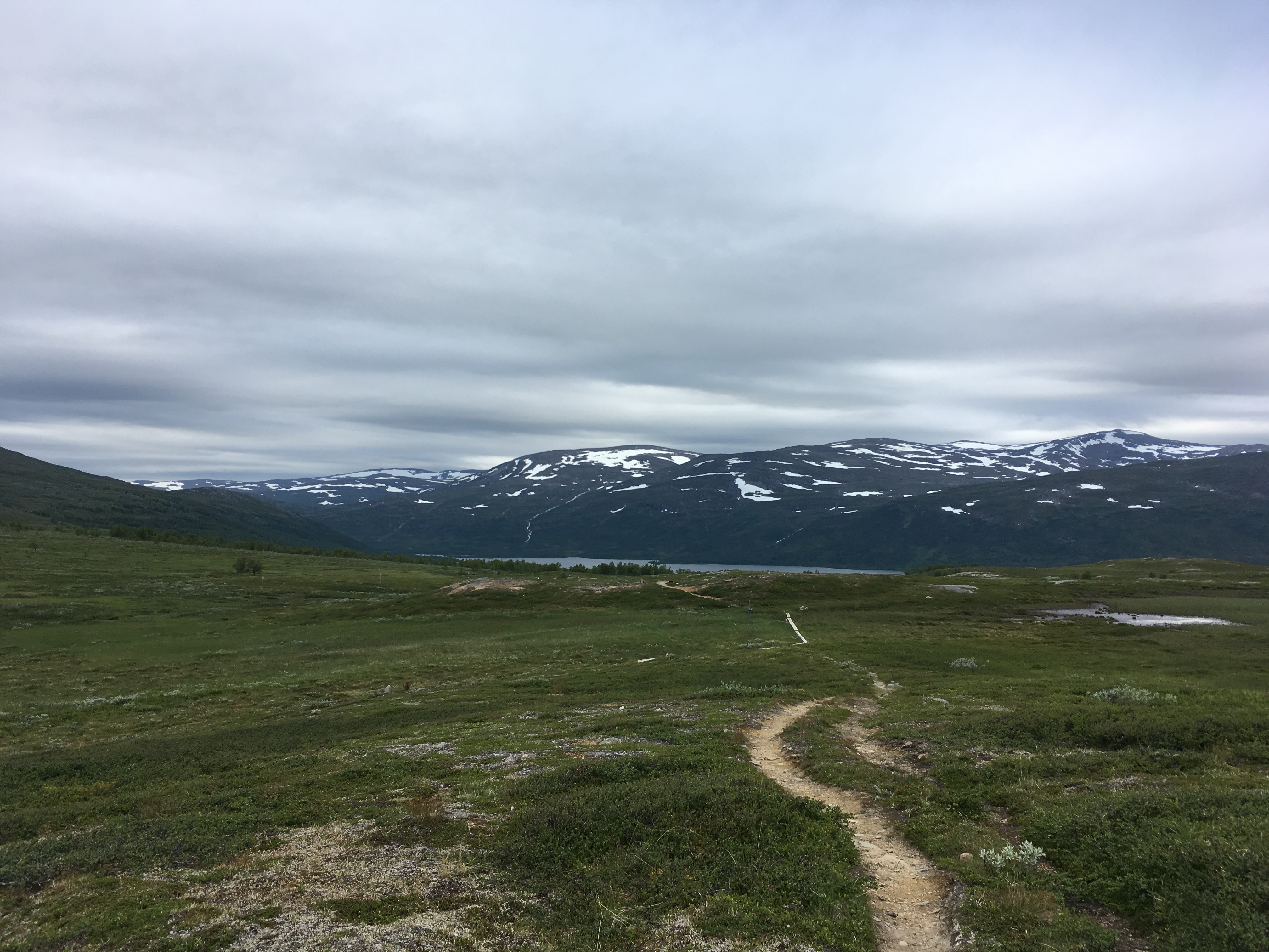 98D58497-A3FF-4B43-B40C-97A71E8F2FD4.jpeg