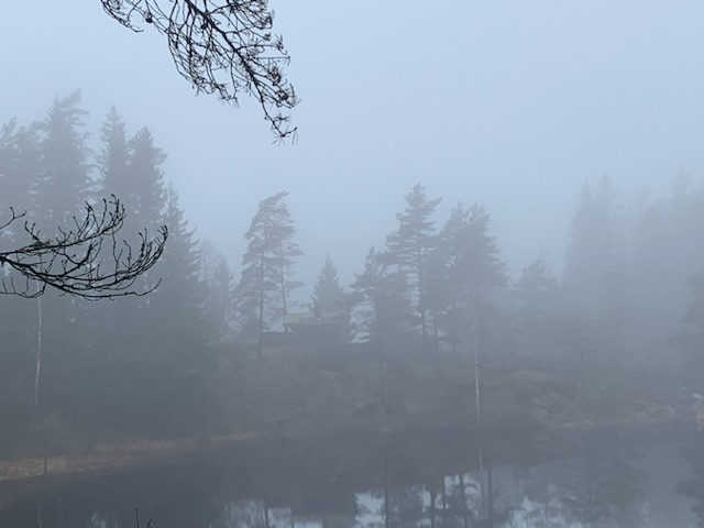 9FDAF00E-A72A-41E3-A73C-81EB007CA2D0.jpeg
