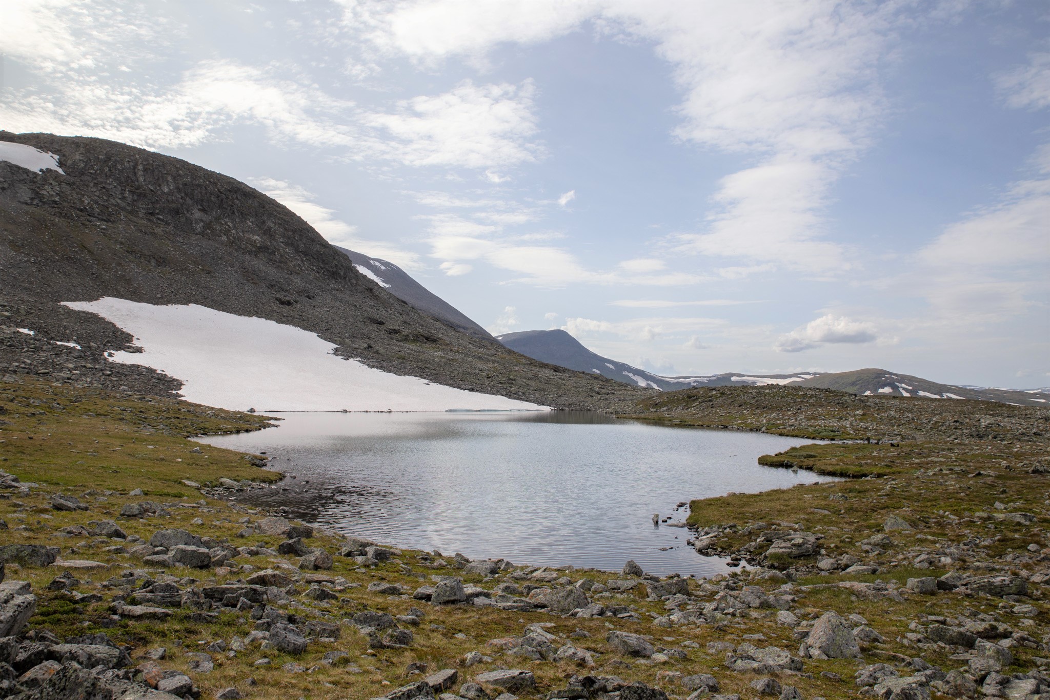 _MG_1704.jpg