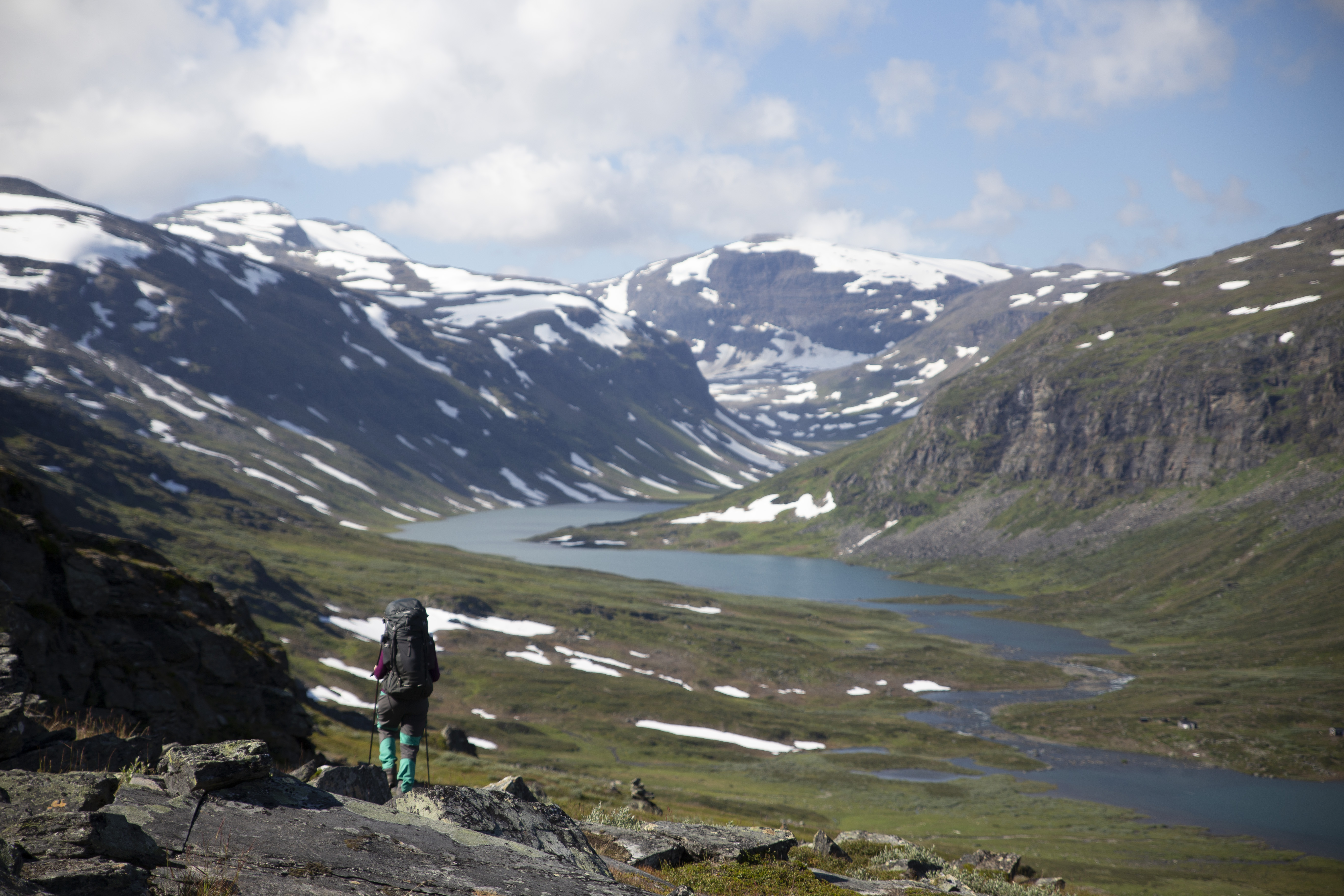 _MG_2240.jpg