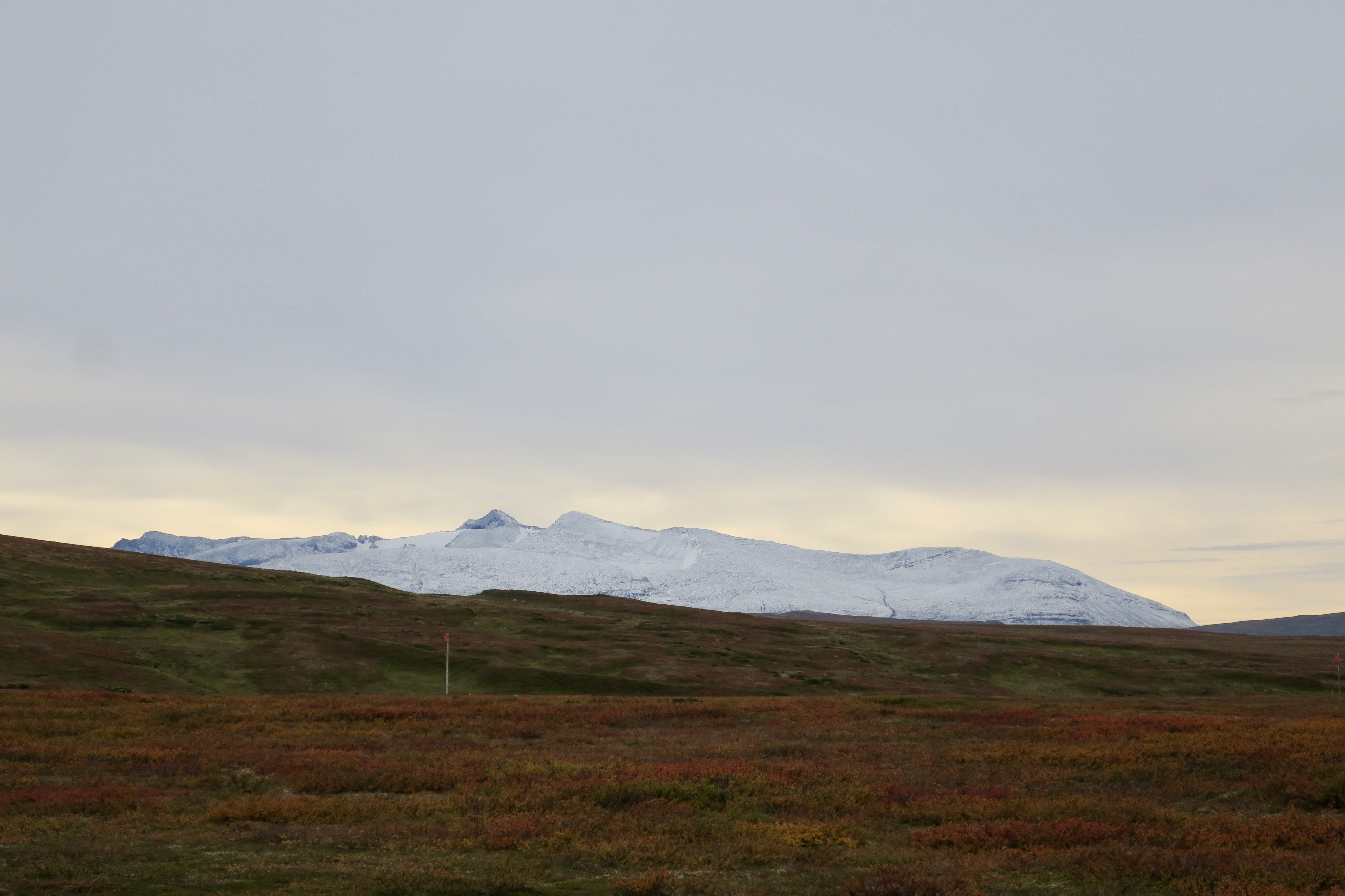 BA152C23-B88D-4073-8E14-2185CA9D4037.jpeg