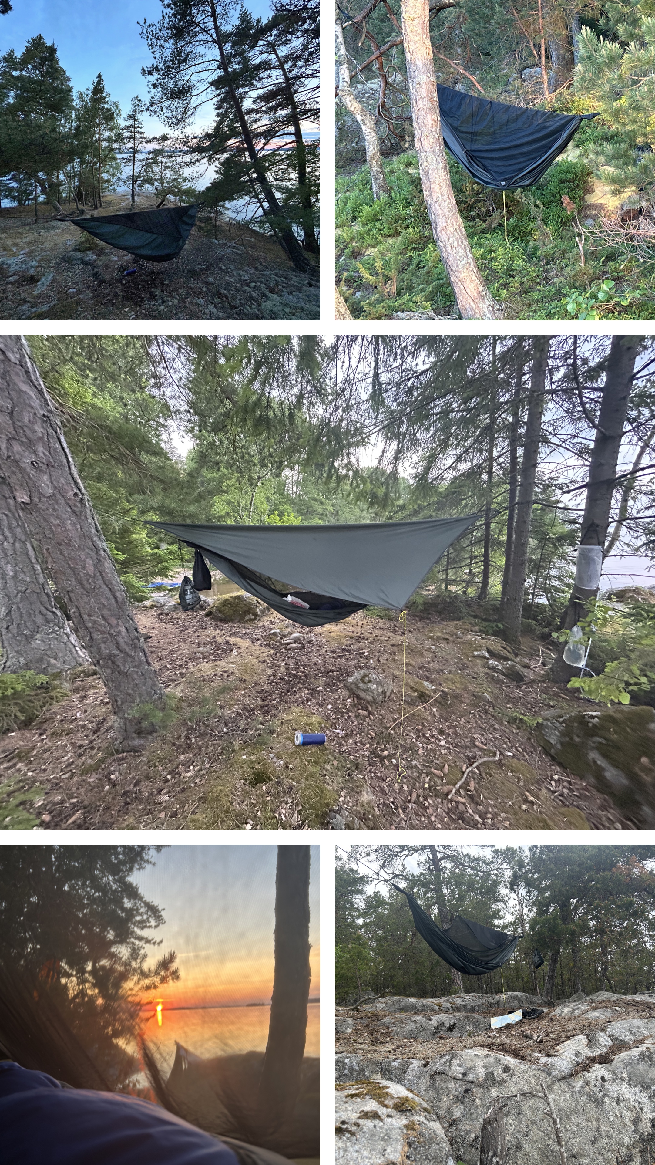 DEC61C8F-888A-4CED-B08E-1743FC0FC046-COLLAGE.jpeg