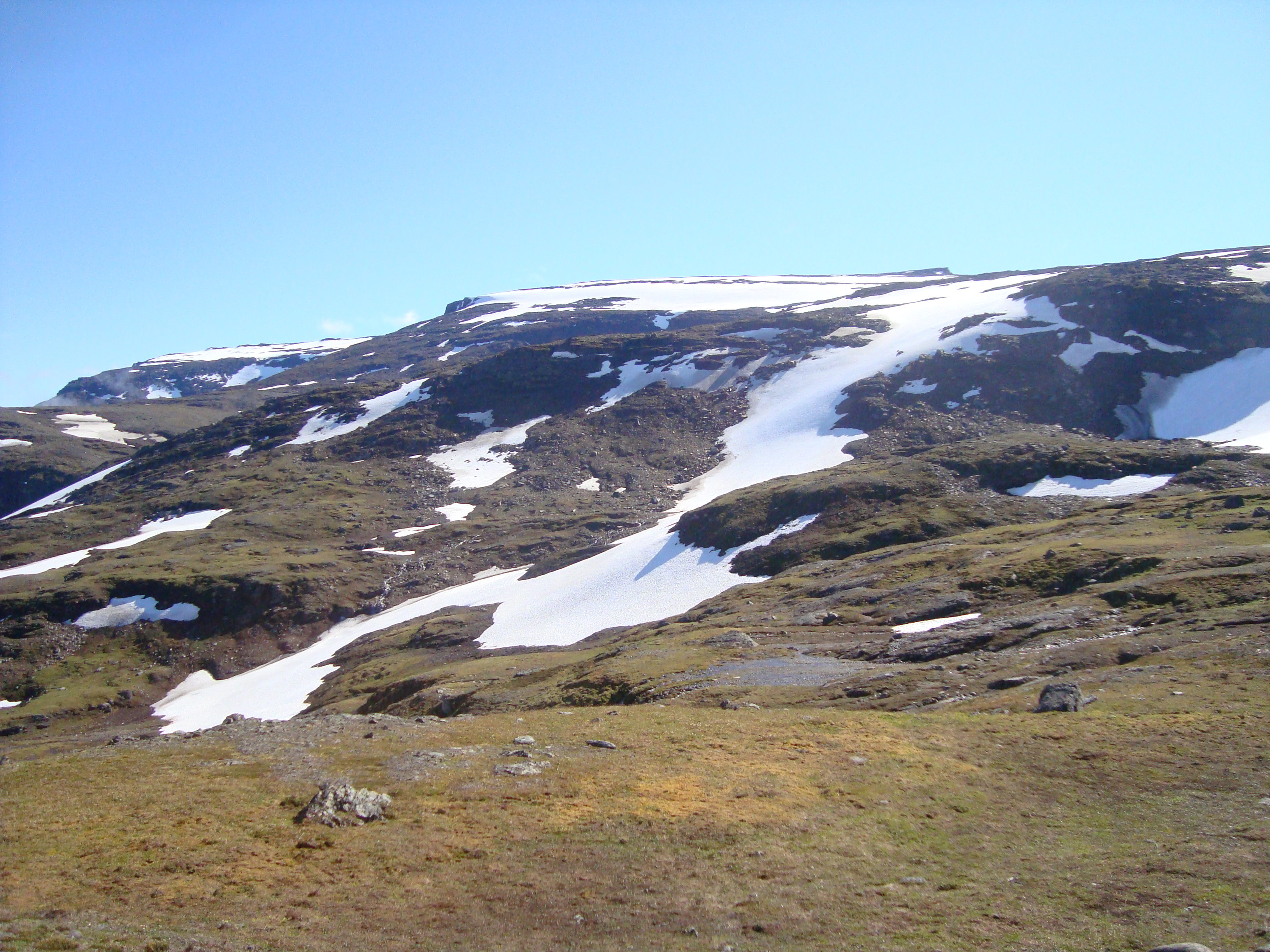 DSC03050.JPG