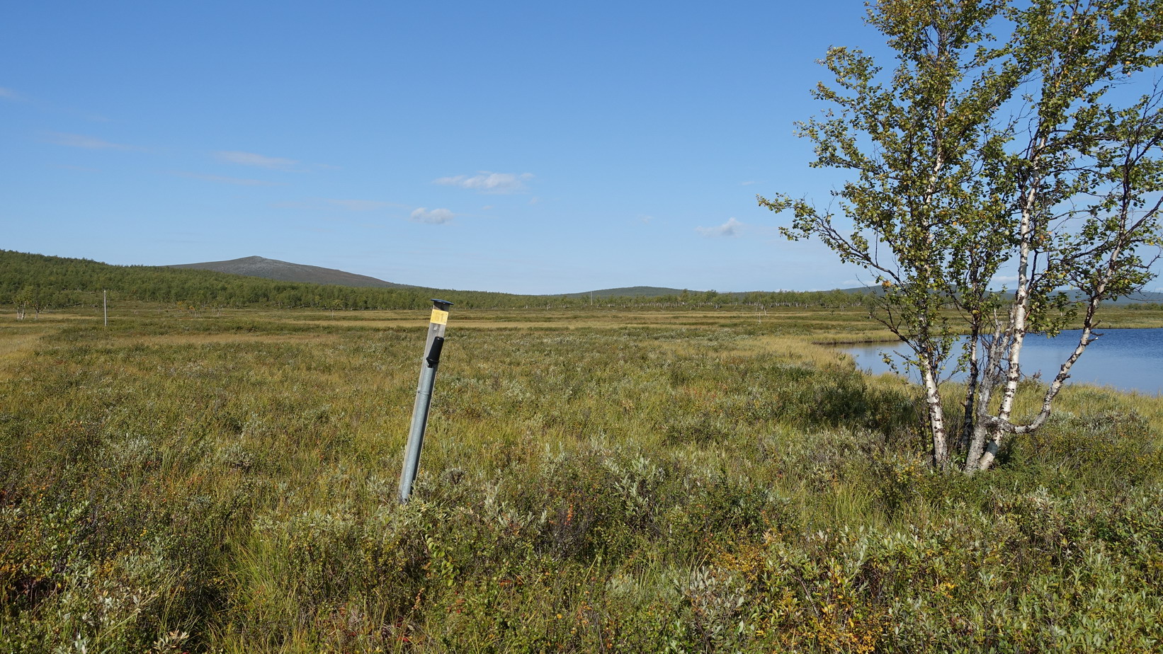 DSC05486_resize.JPG