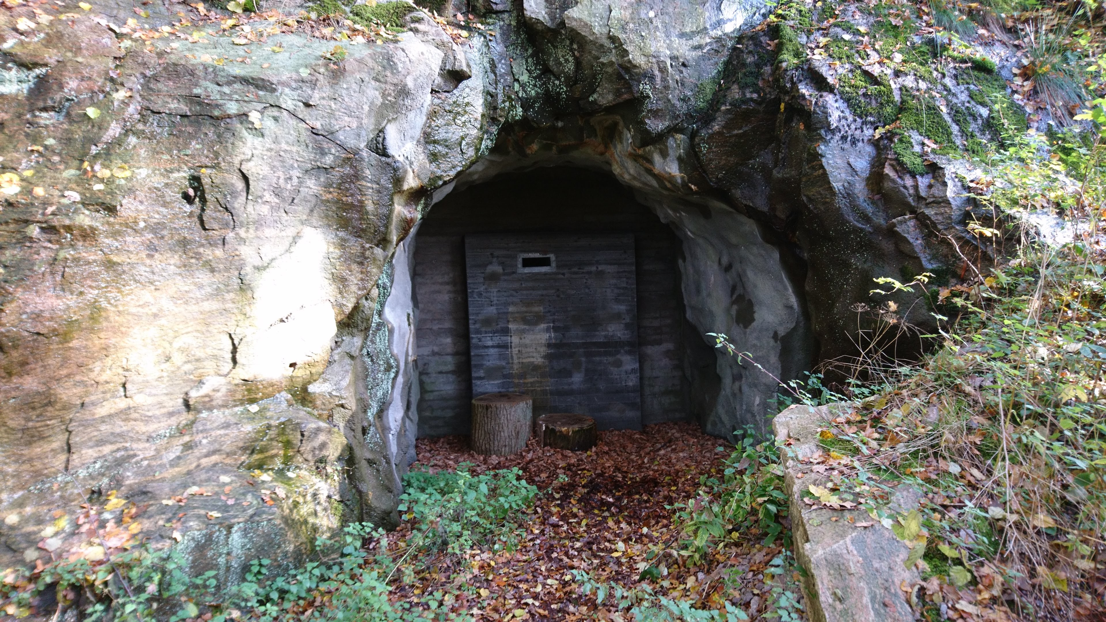 DSC_0045 (1).JPG
