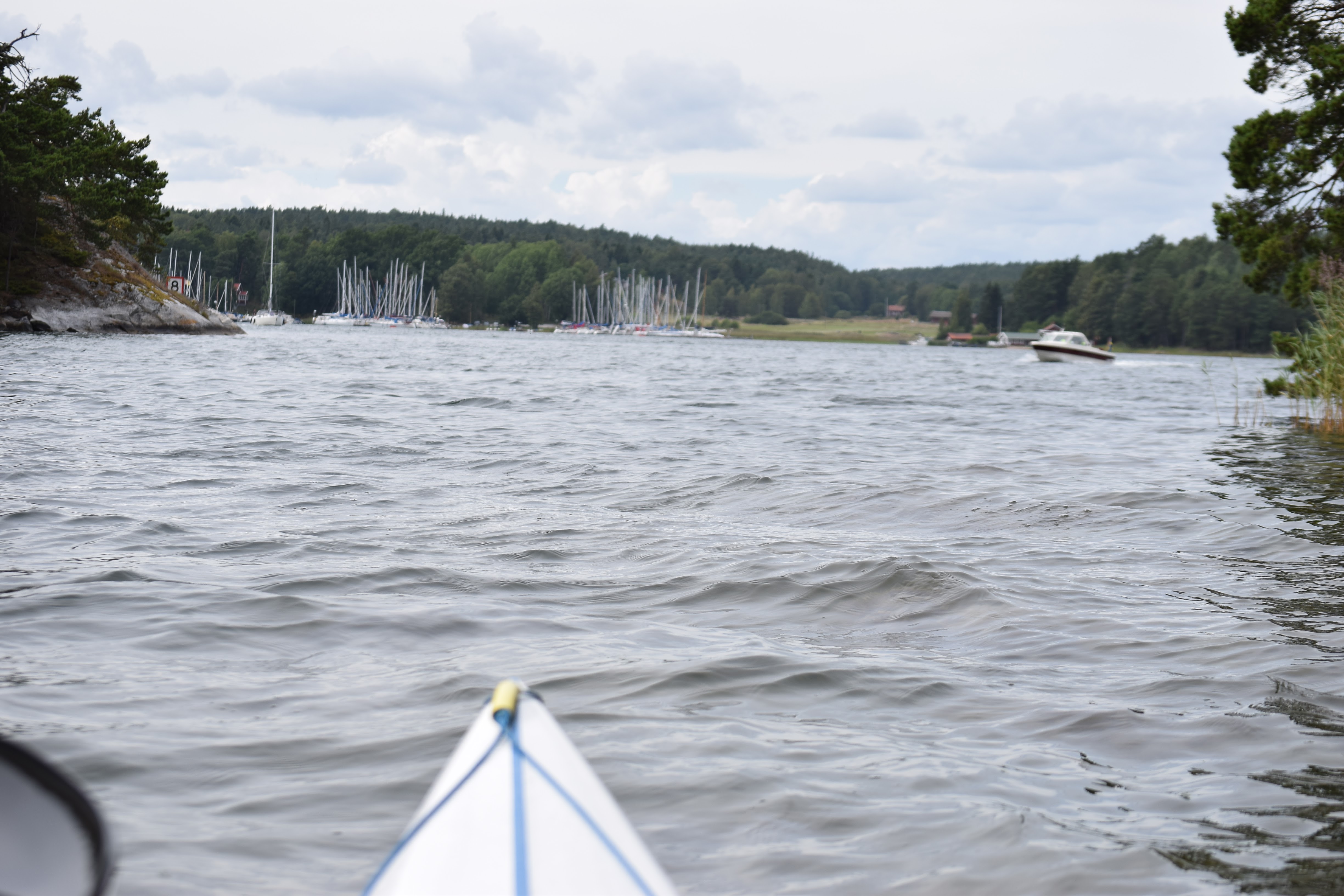DSC_0539.jpg