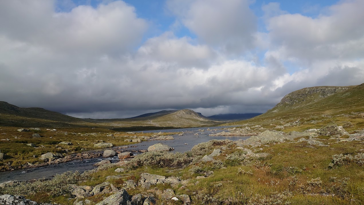 DSC_4108.JPG