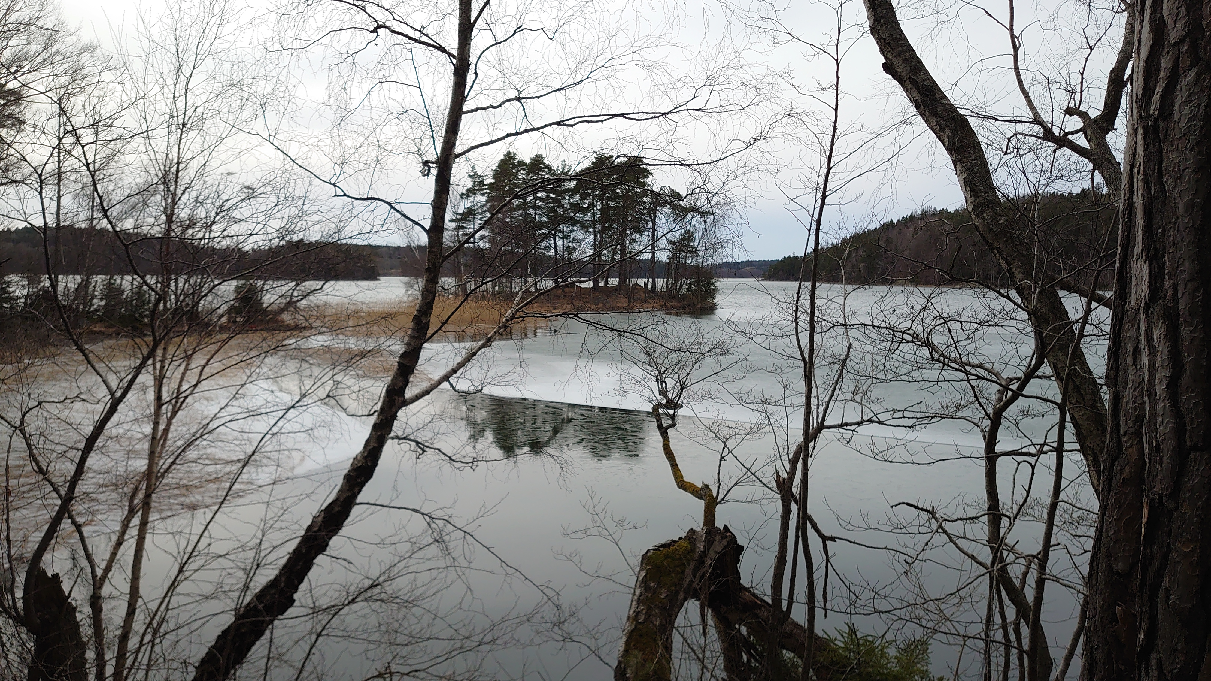 DSC_4246.JPG