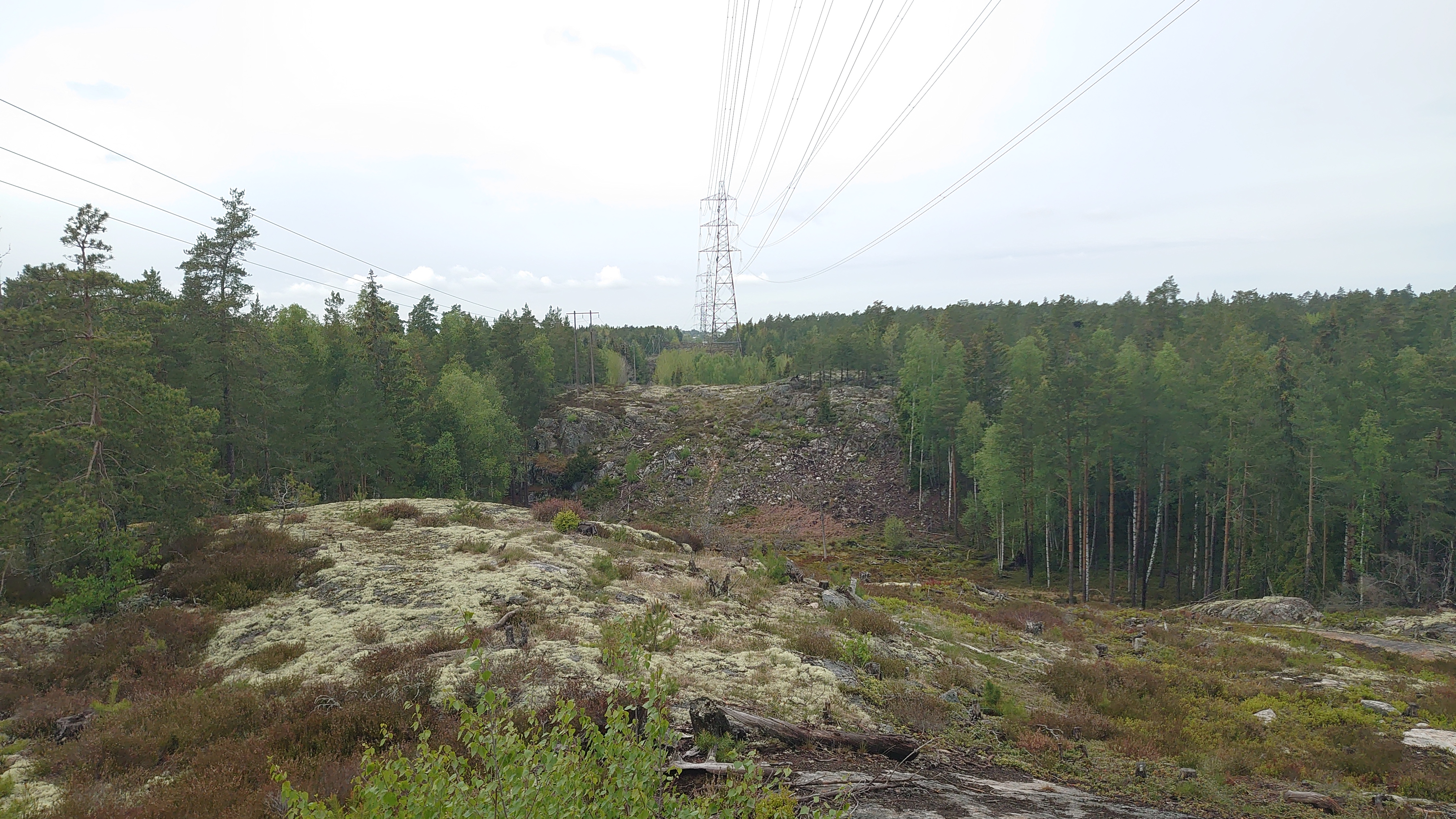 DSC_4735.JPG