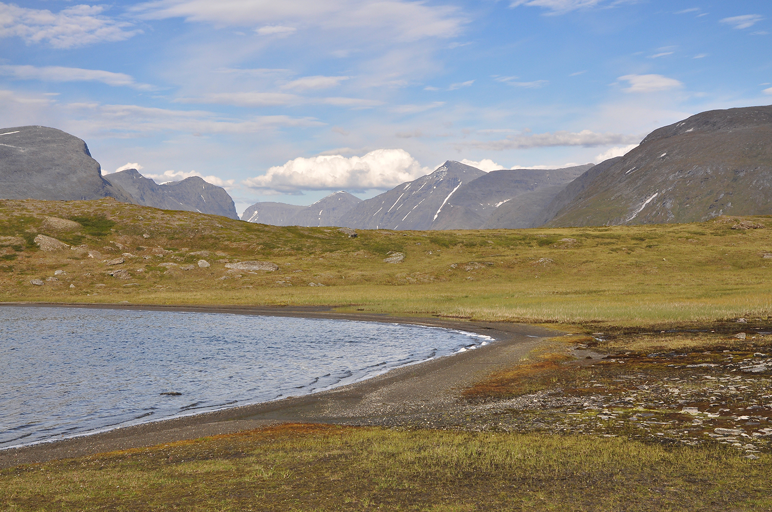 DSC_7633.jpg