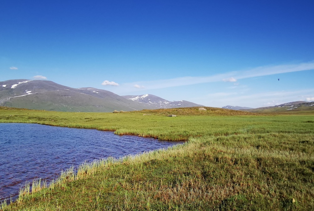 Fjäll.jpg