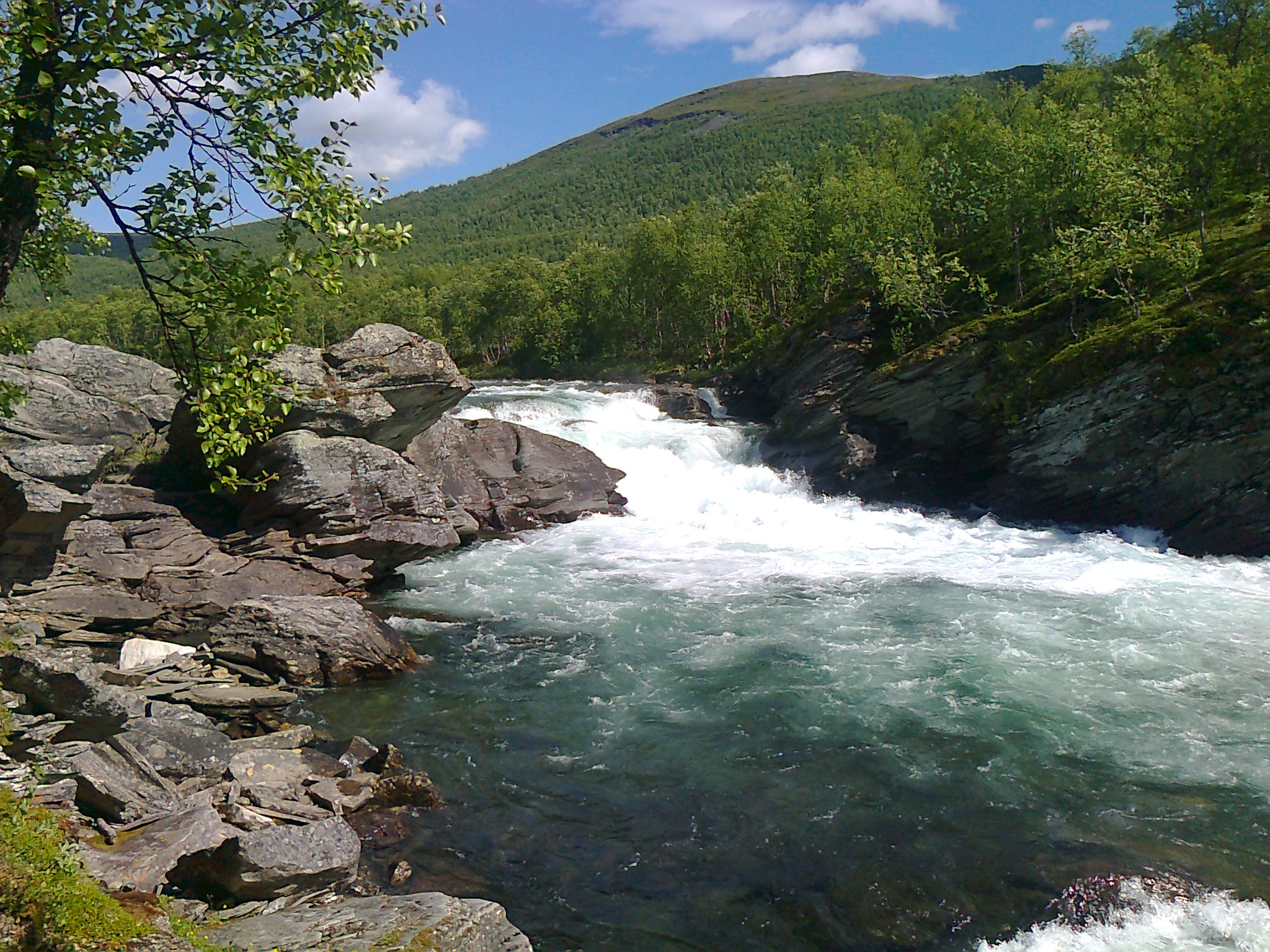 Fjällen 2014 024 (3).jpg