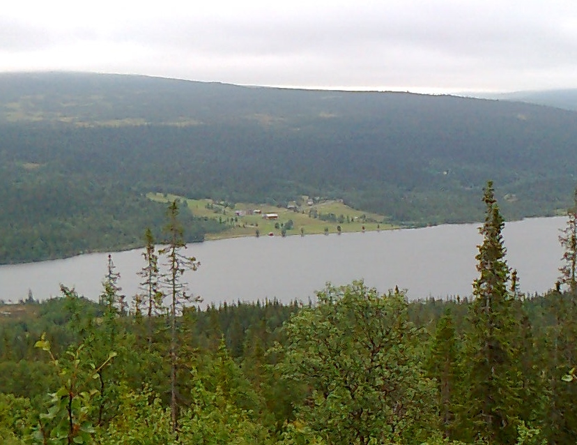 Foto0294.jpg