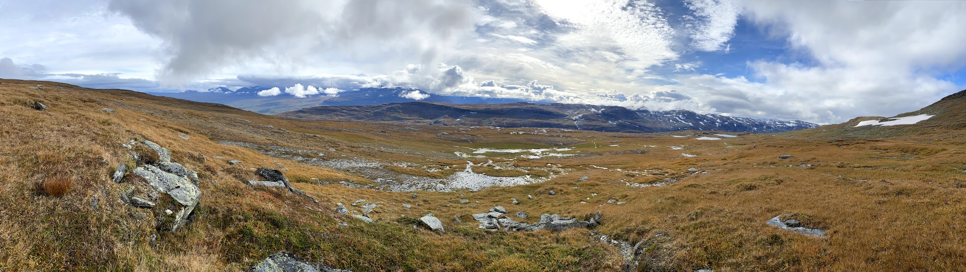 FrippesFall_Myrmark_ovanför.jpg