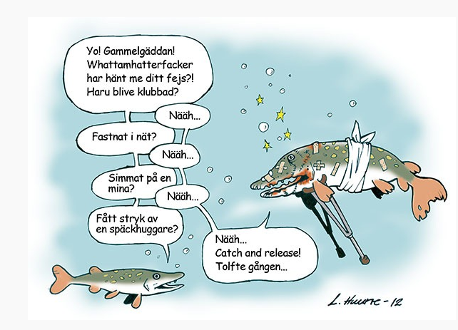 Gammelgäddan.png